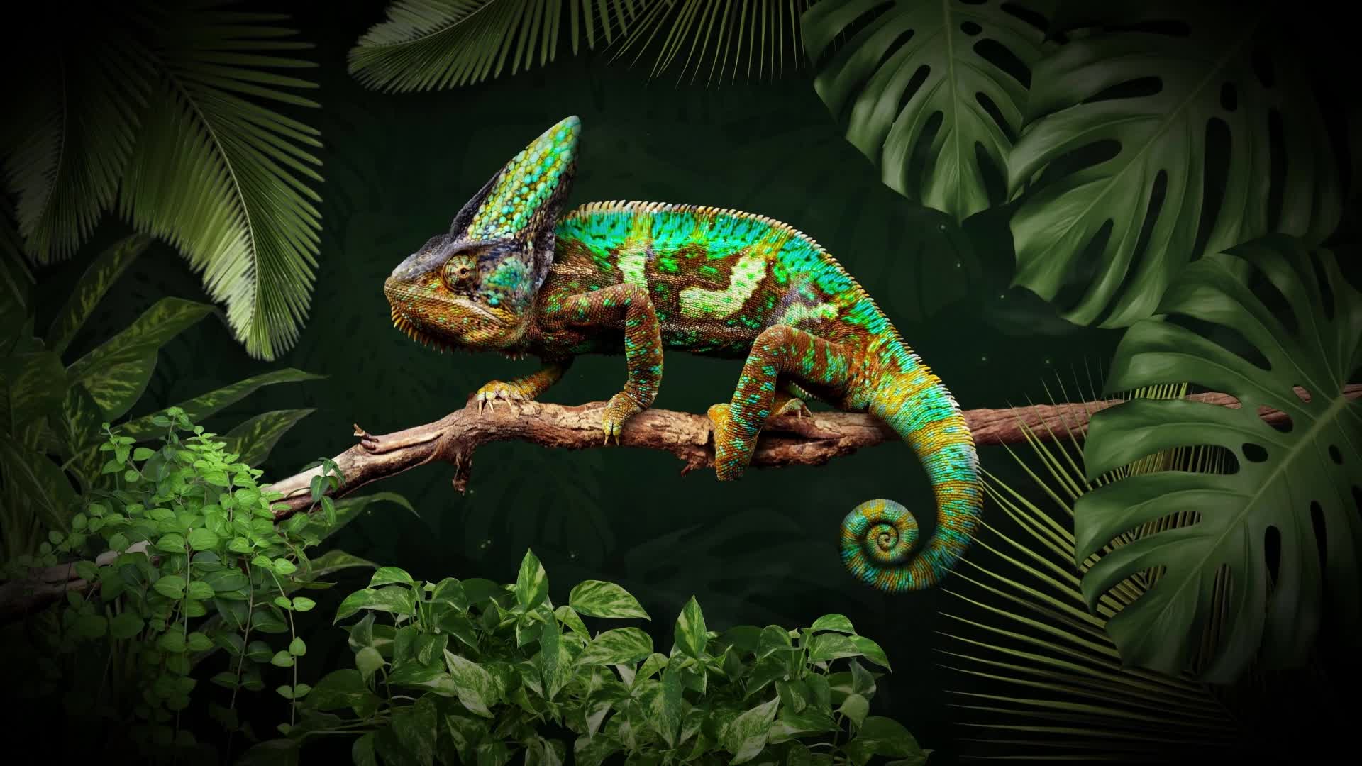 Chameleon Moving Live Wallpaper