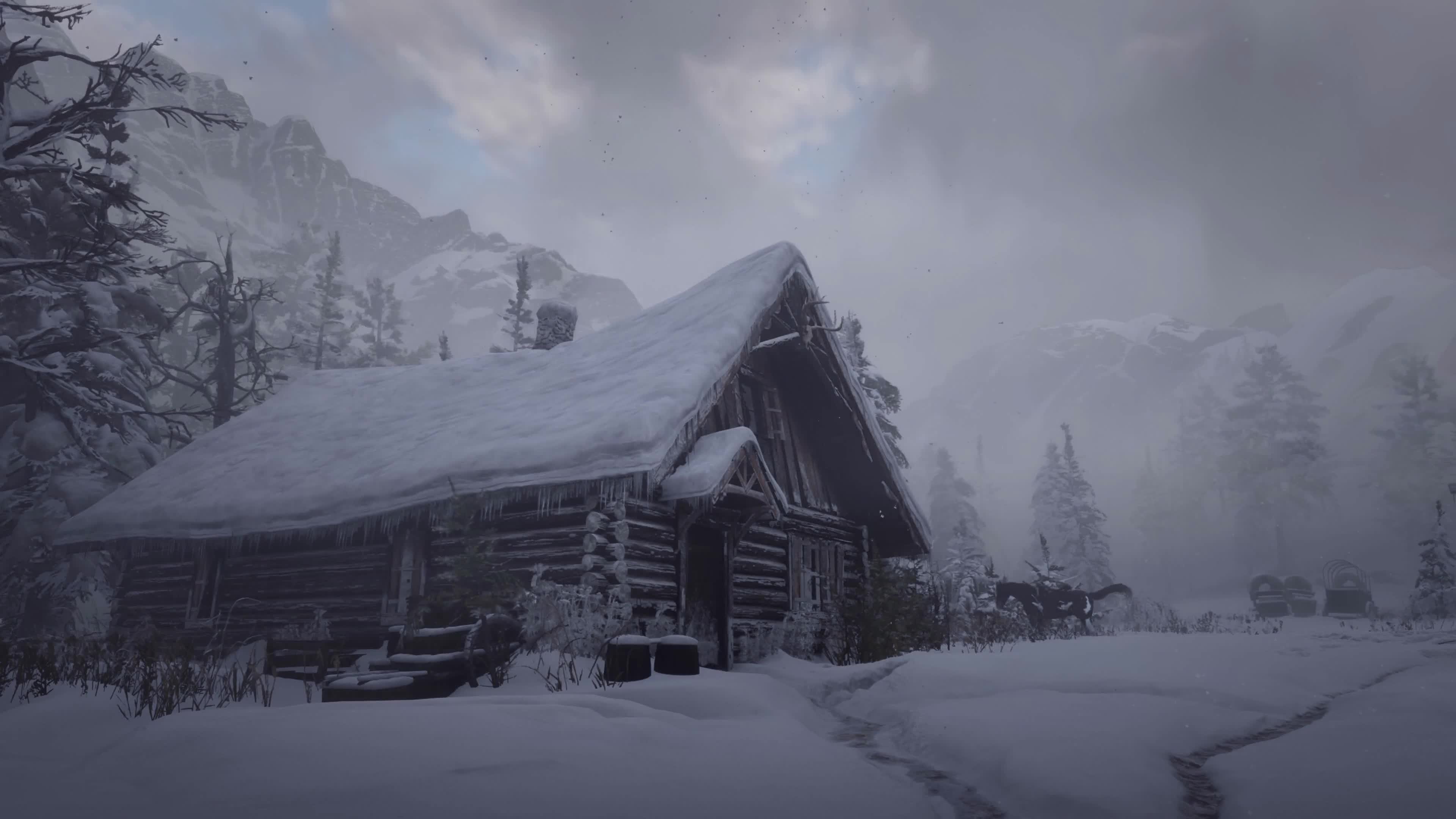 Snowed Live Wallpaper
