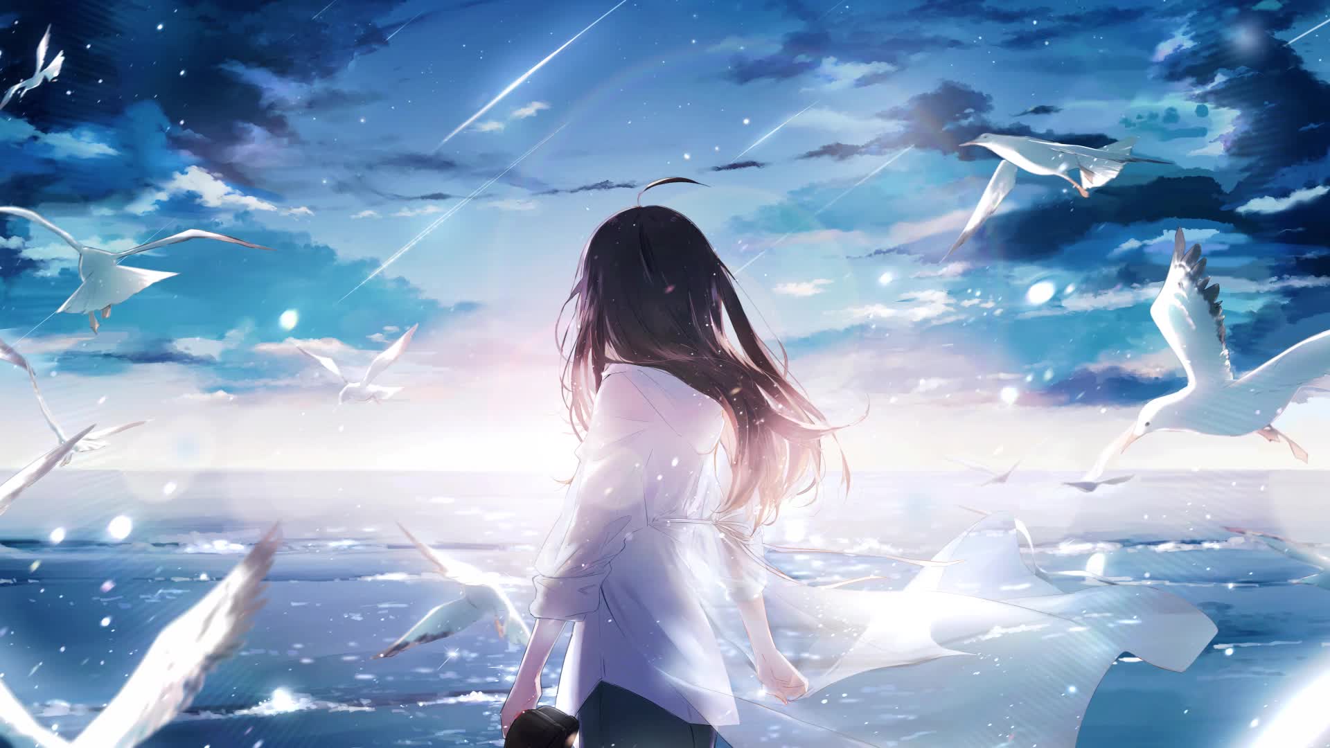 Broad Sea and Sky Live Wallpaper