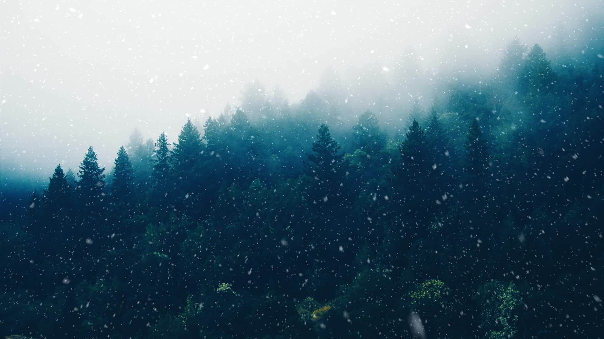 Snow Live Wallpaper