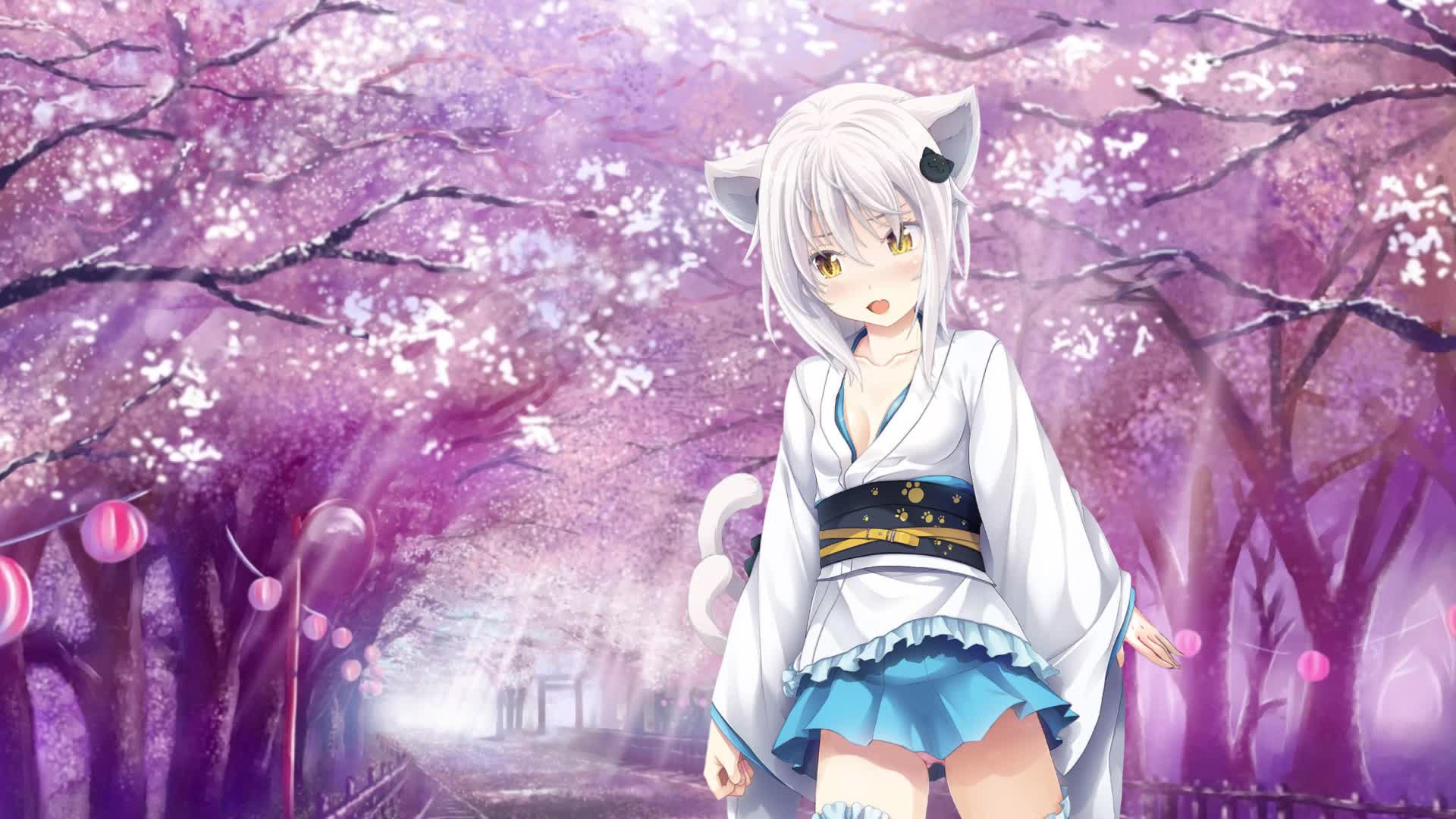 Koneko - Animated Live Wallpaper