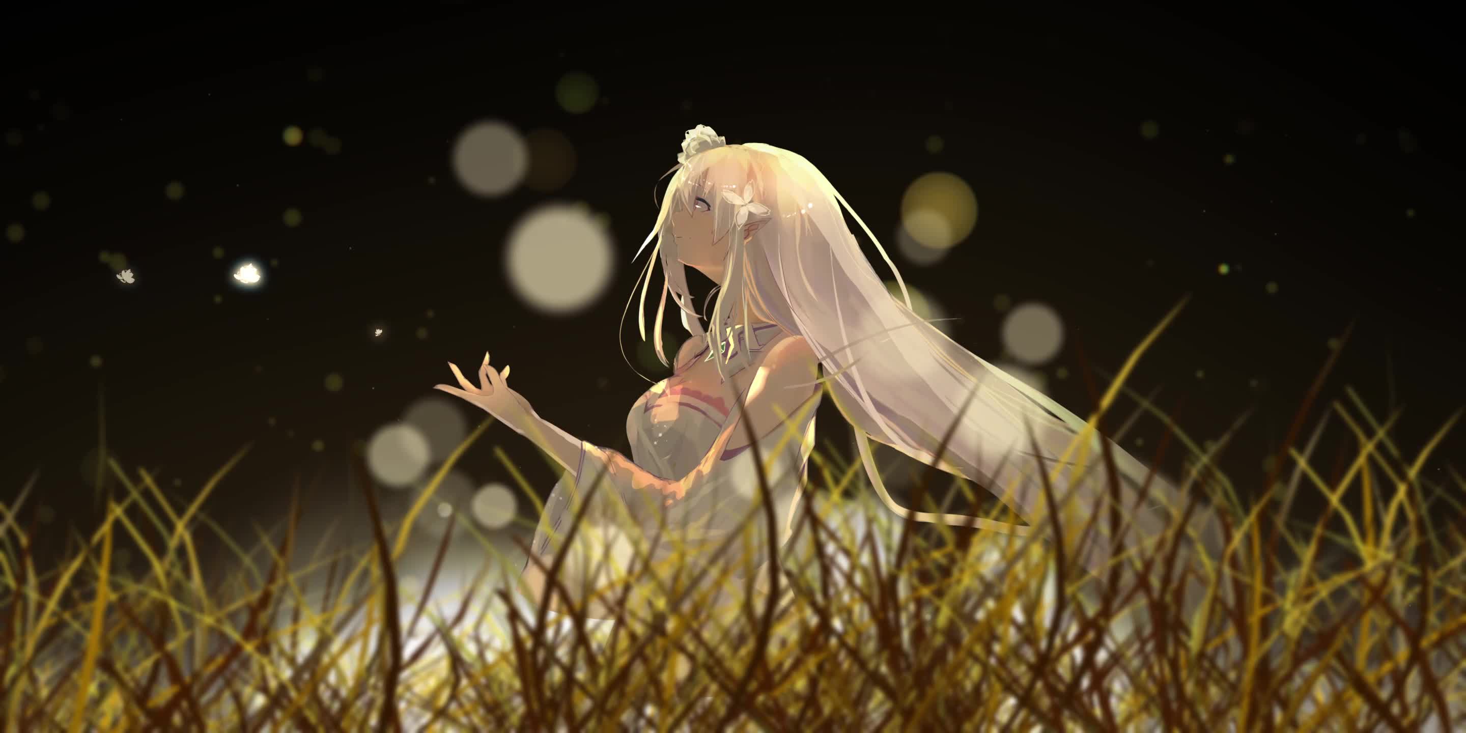Life in a different world from zero Live Wallpaper