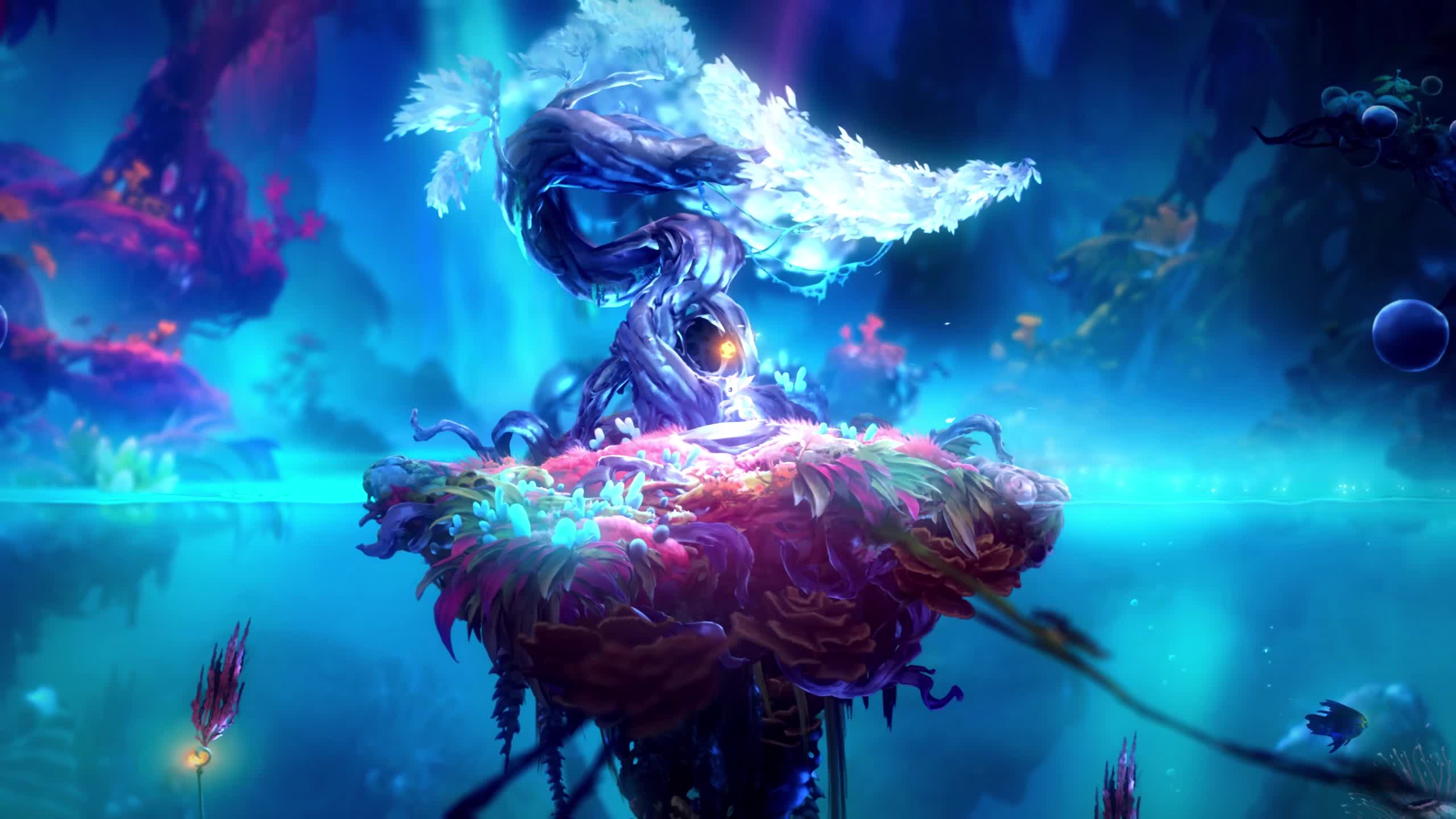 Luma Pools Live Wallpaper