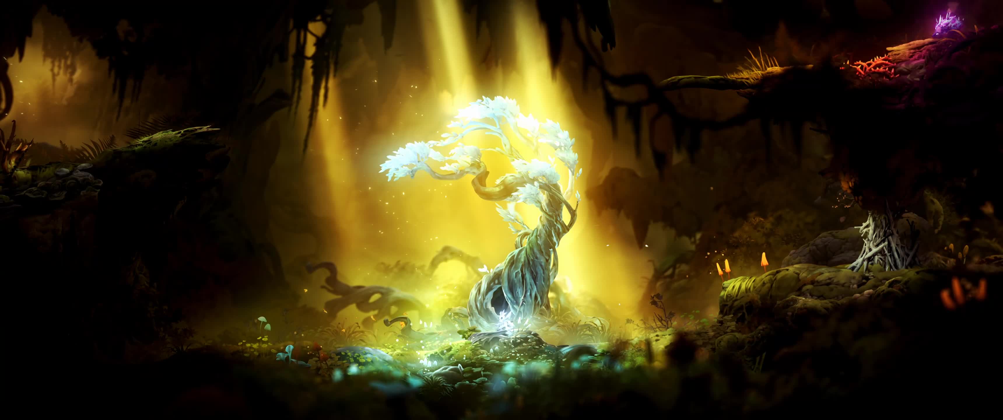 Ori and the Will of the Wisps Tree Live Wallpaper