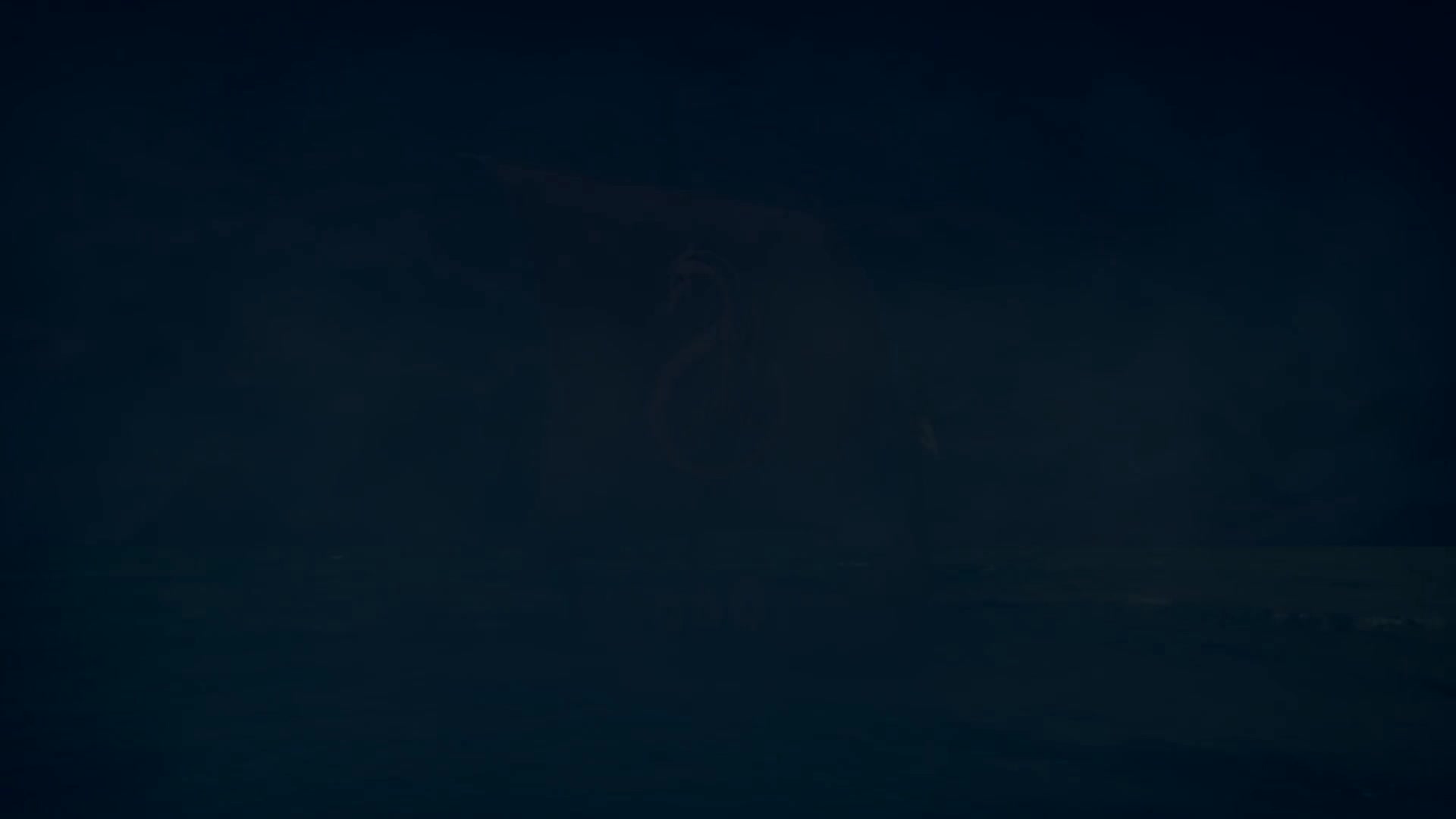 Viking ship Live Wallpaper