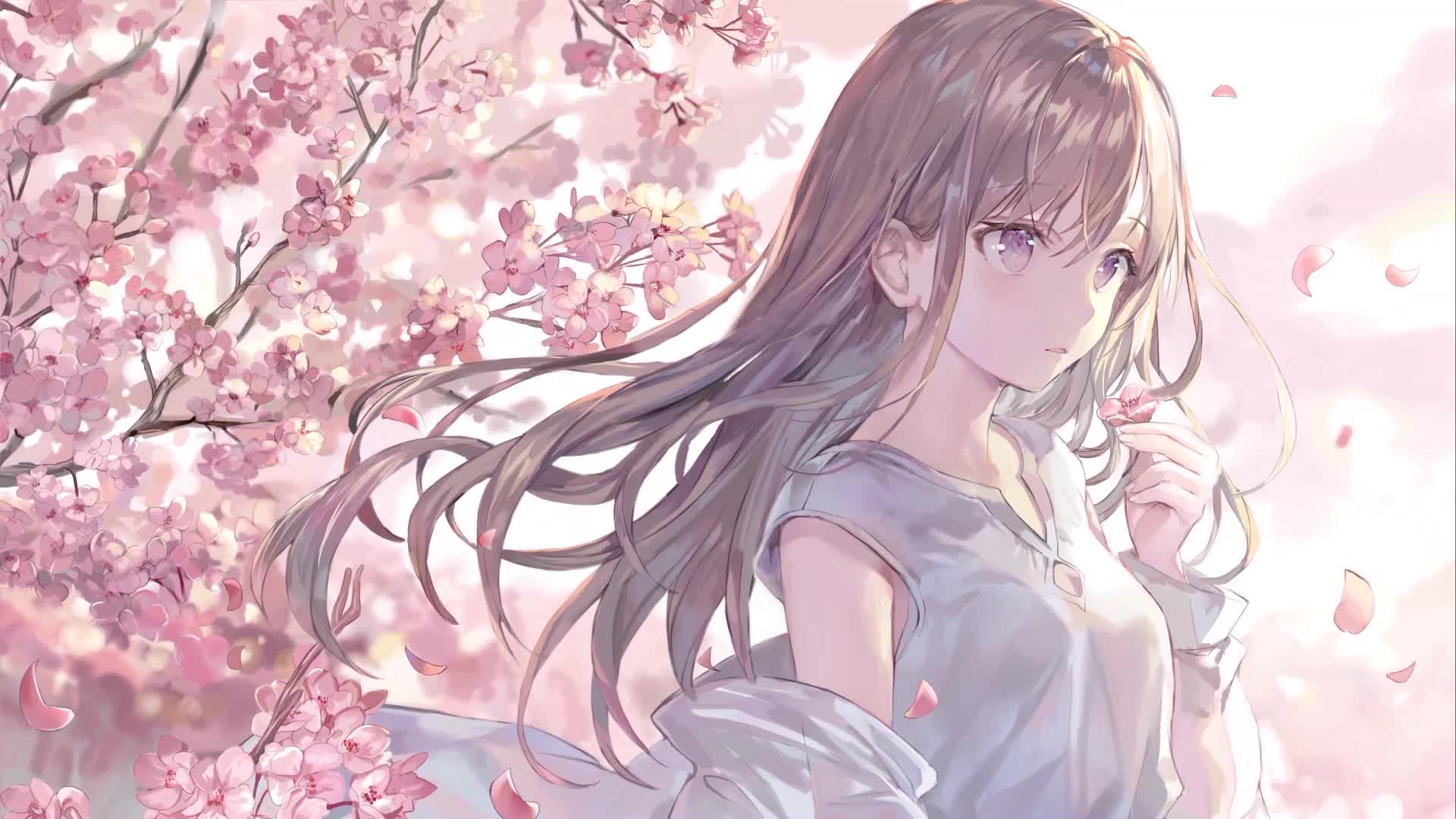 Sakura Anime Girl Live Wallpaper