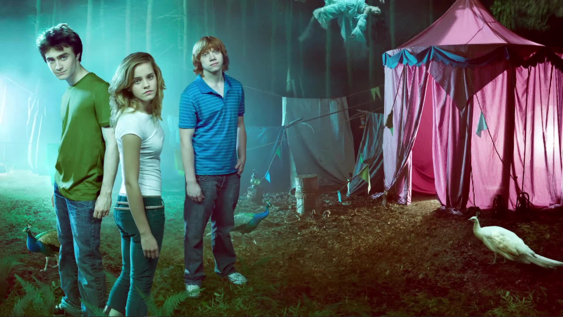 Wizards Harry Potter, Hermione, Ron Live Wallpaper