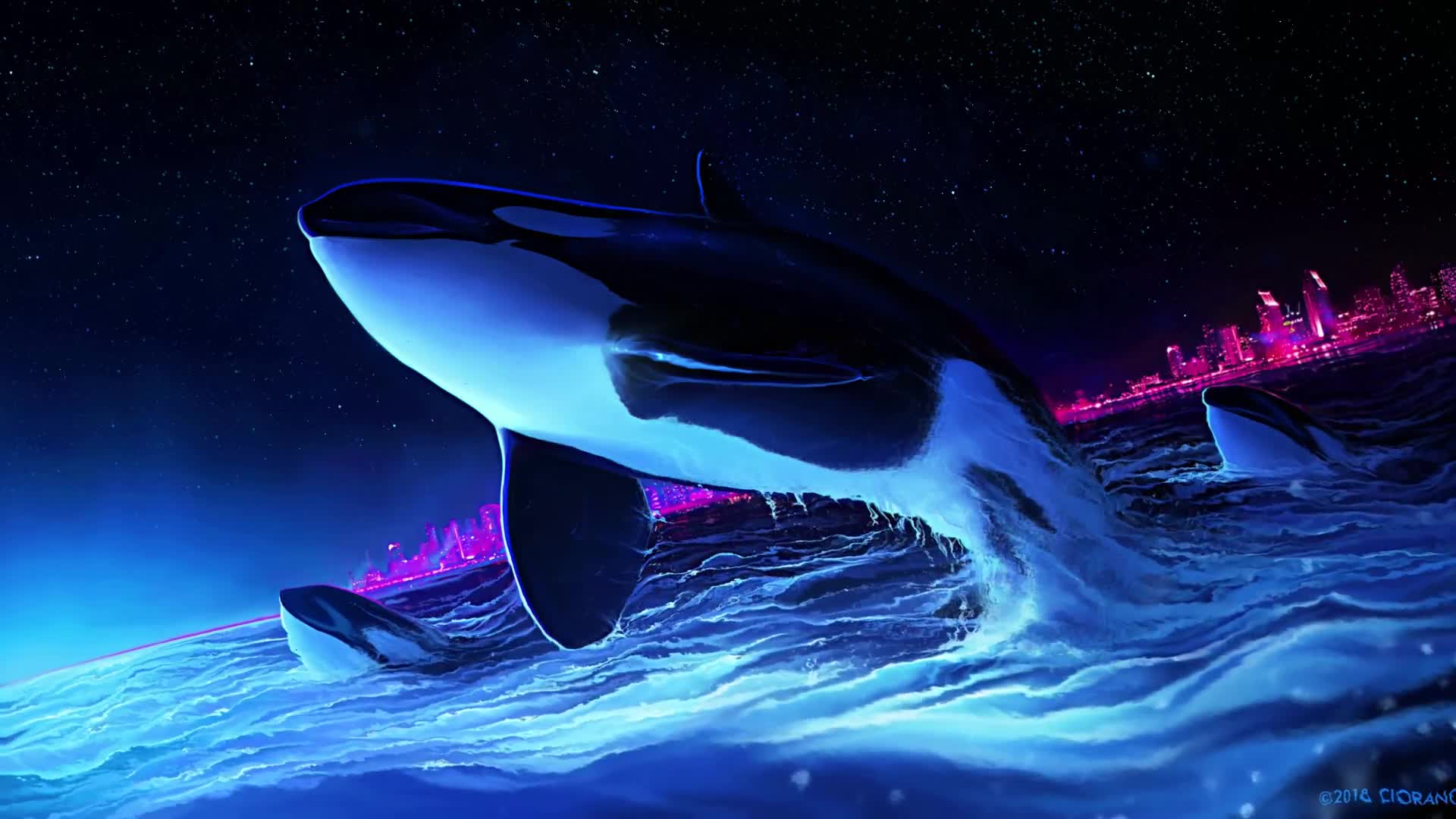 Orca Killer Whale Blue Ocean Live Wallpaper