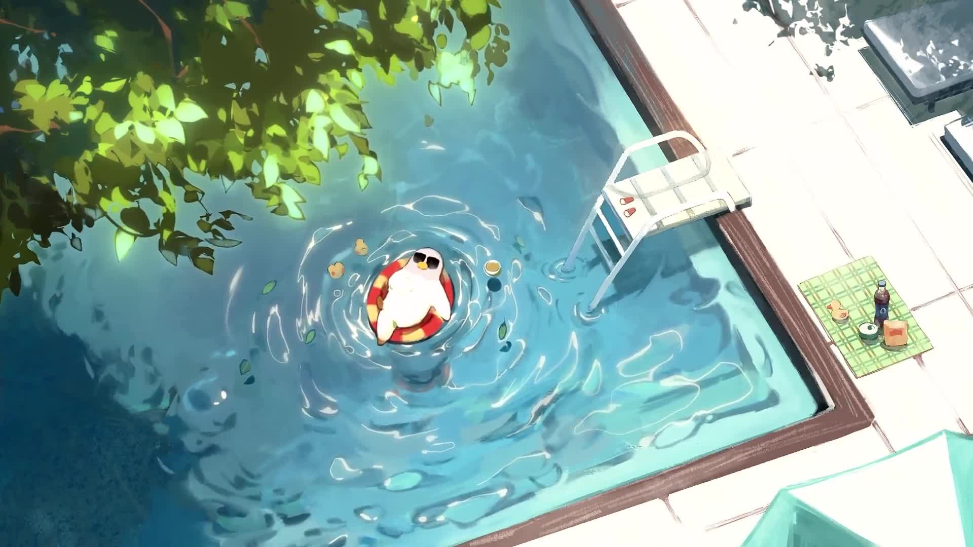 Pigeon Chilling, Pool Relax Live Wallpaper