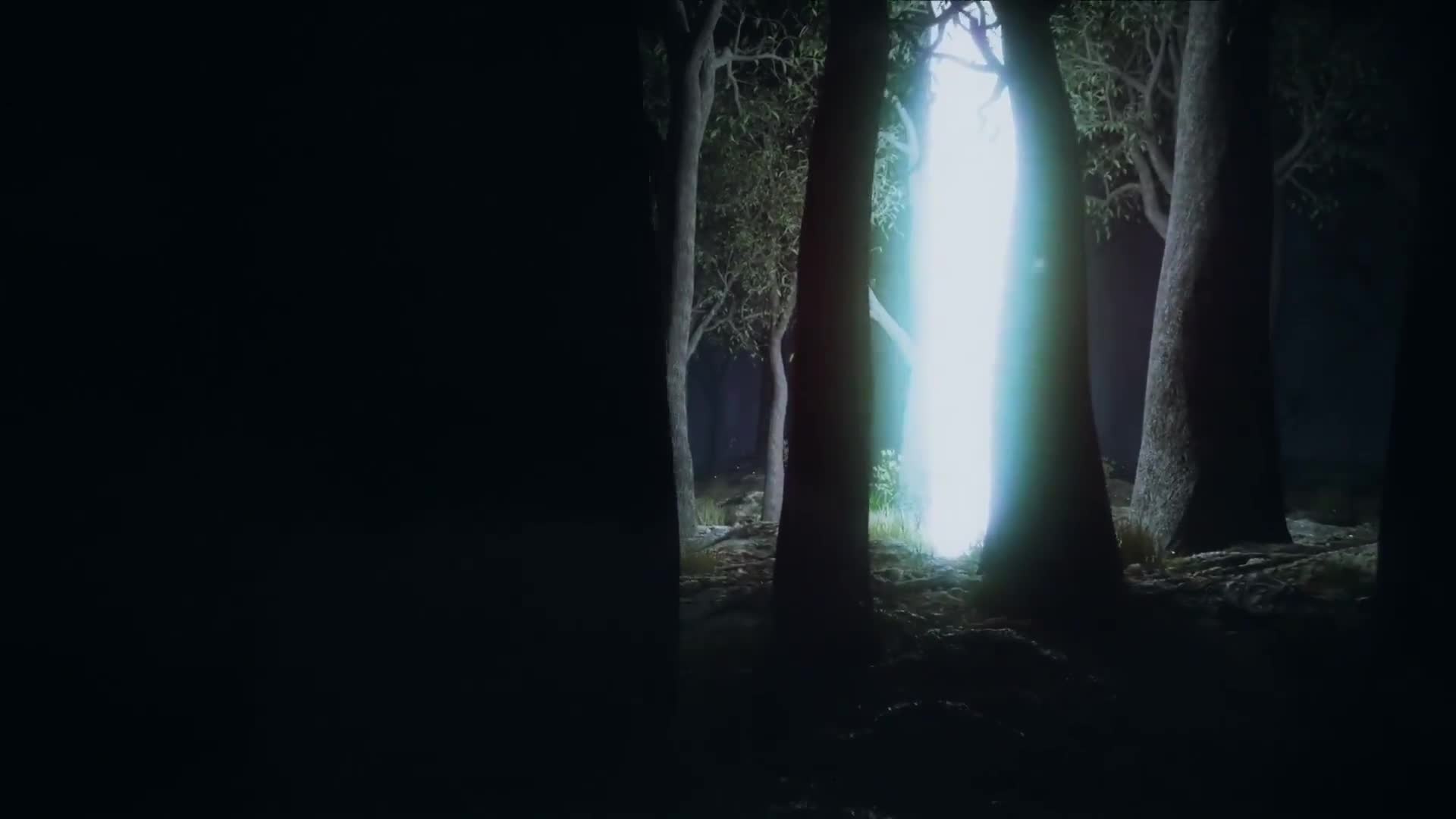 Light Beam in the Night Forest Fantasy Nature Live Wallpaper