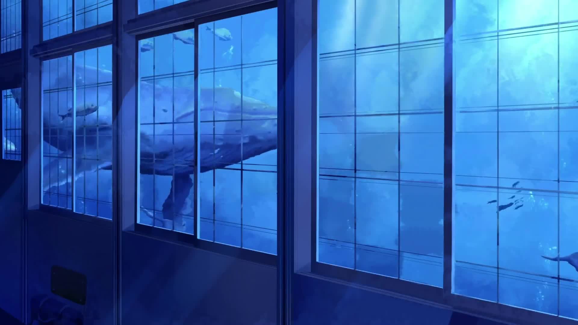 Whales Swimming Outside The Window, Huge Aquarium Live Wallpaper