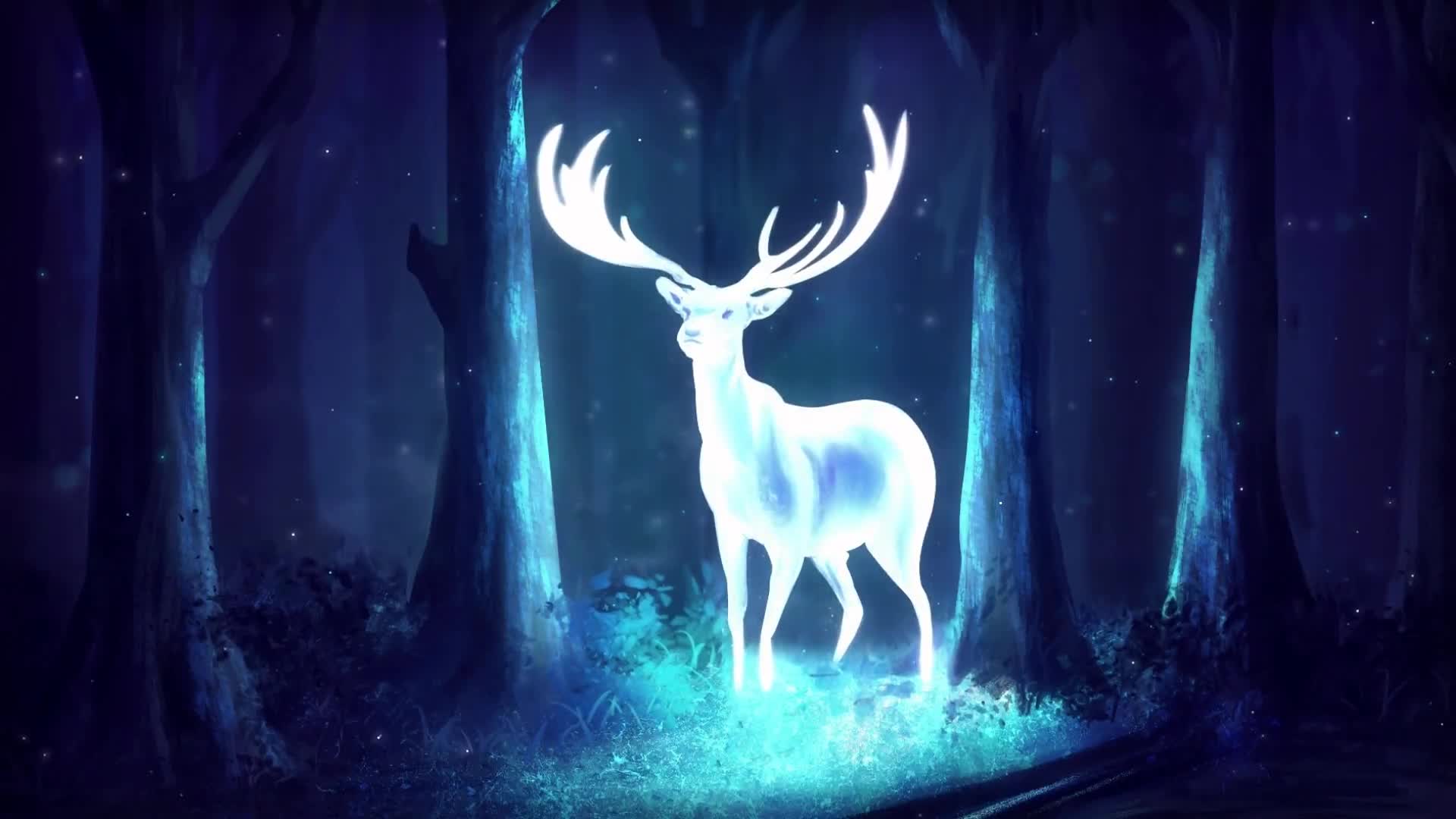 Glowing Deer Fantasy Night Forest Live Wallpaper