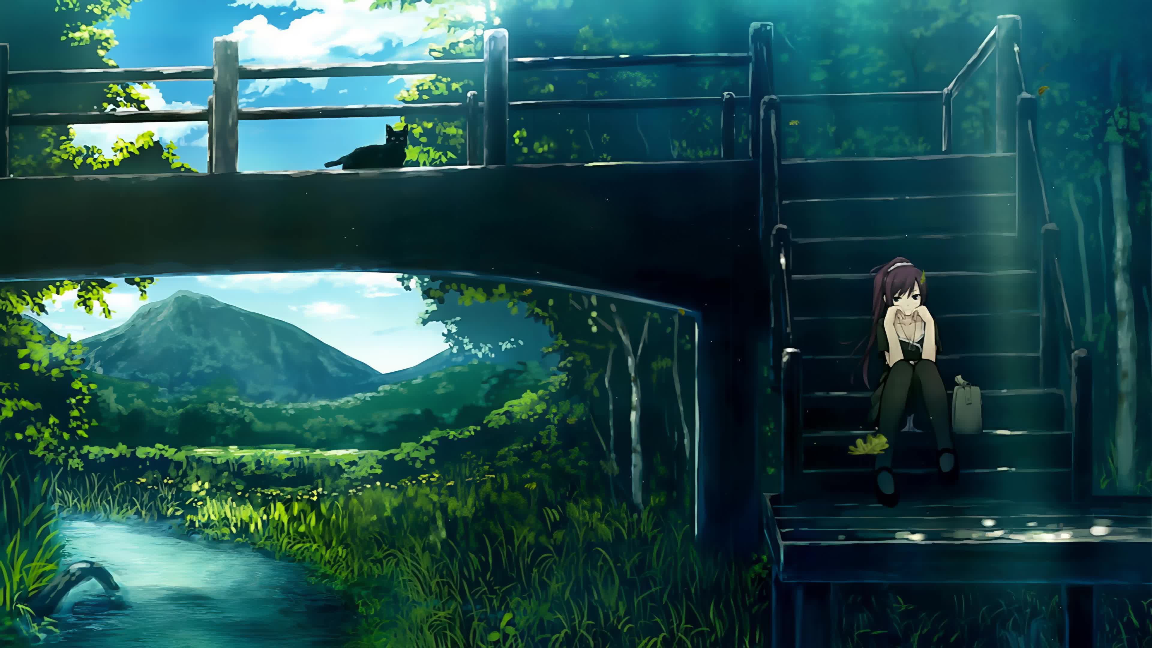 Hitagi Senjougahara Bakemonogatari 4K Live Wallpaper