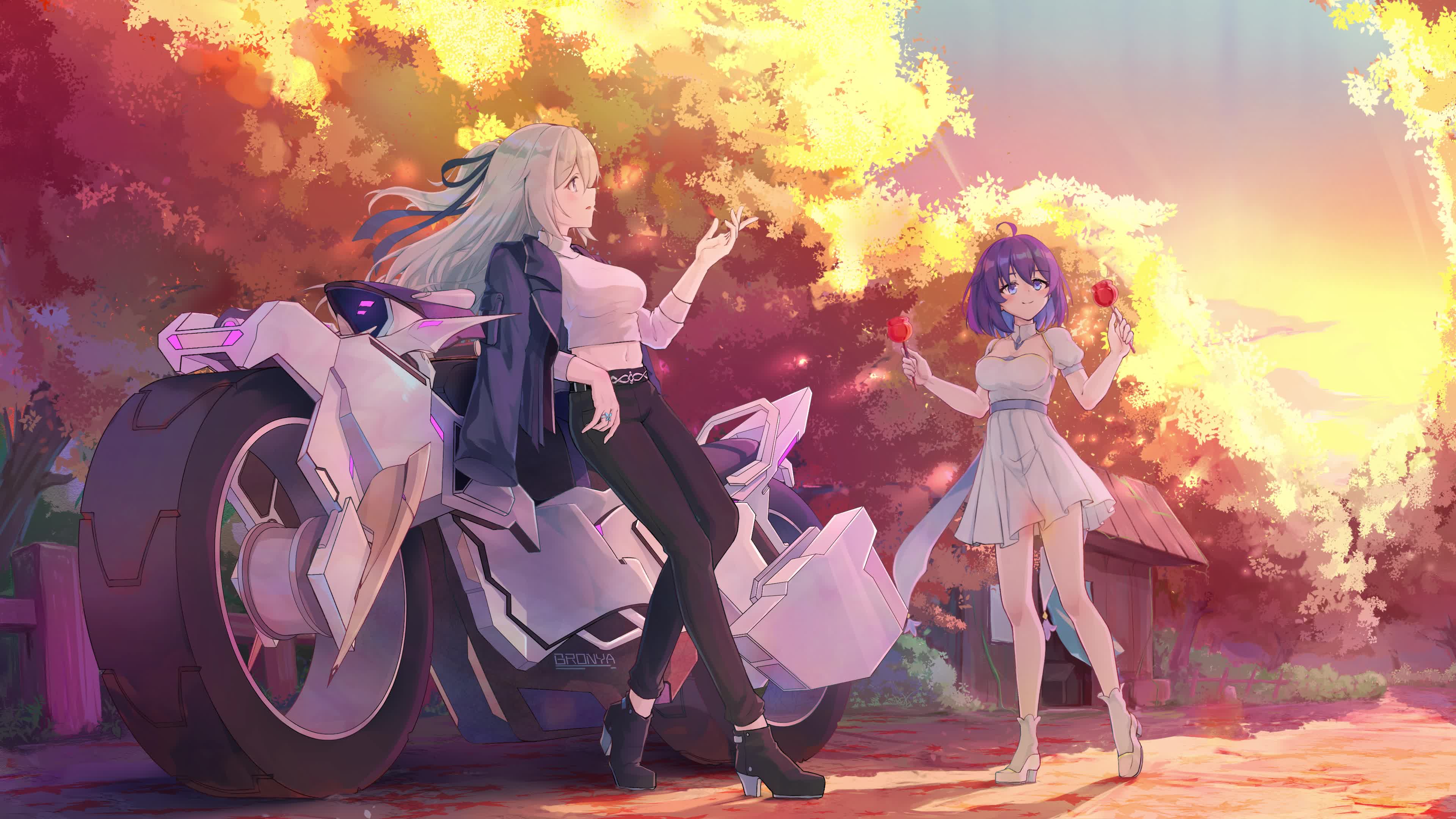 The outside world is still big Live Wallpaper