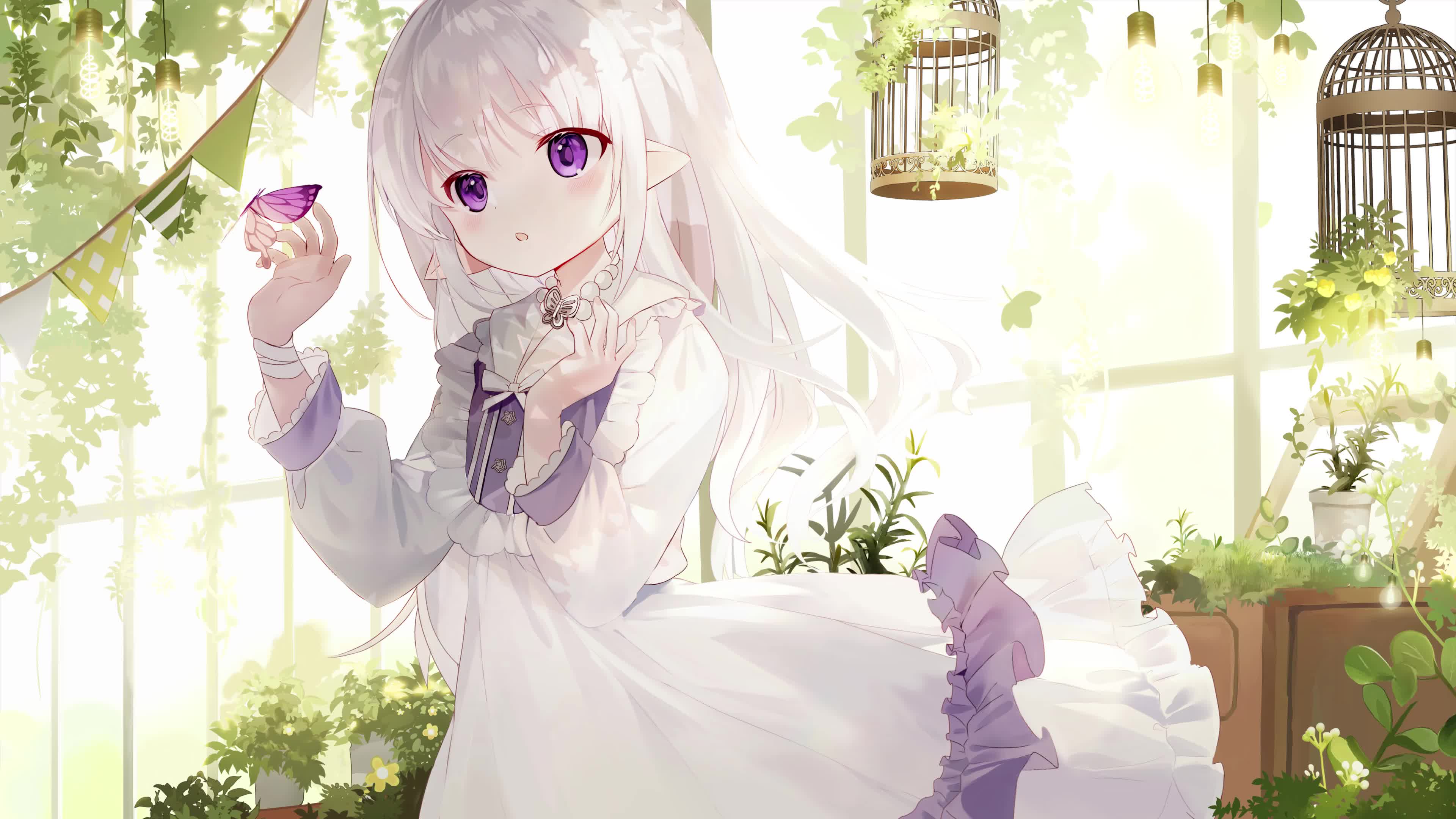 Organization of Angels 4K Live Wallpaper