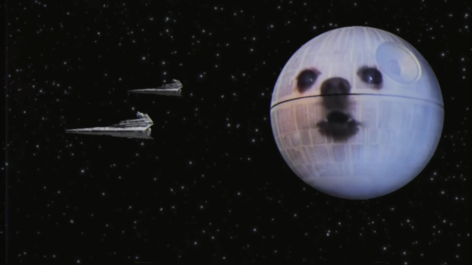 Star Wars Doggo Live Wallpaper