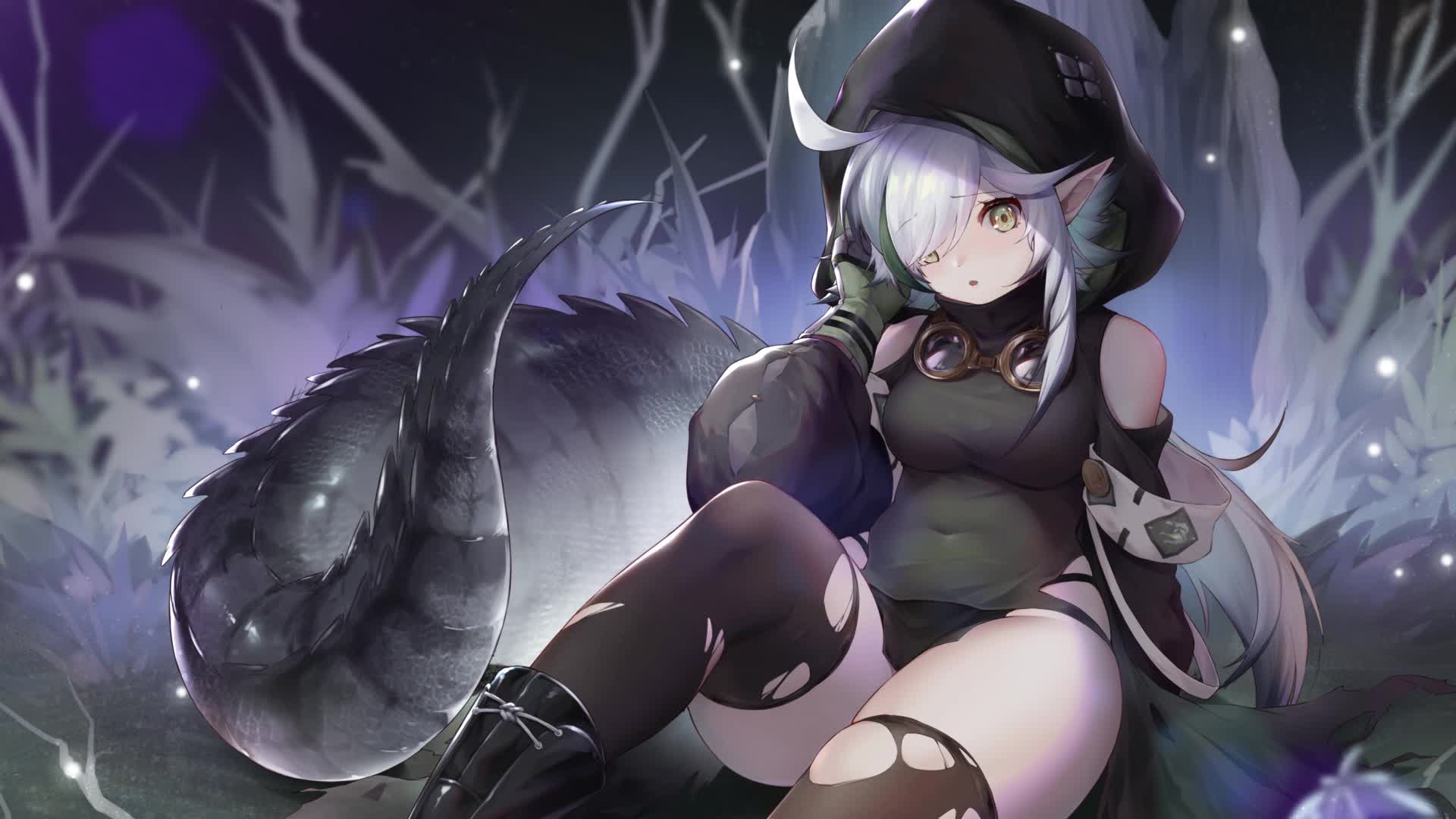 Tomimi arknights Live Wallpaper