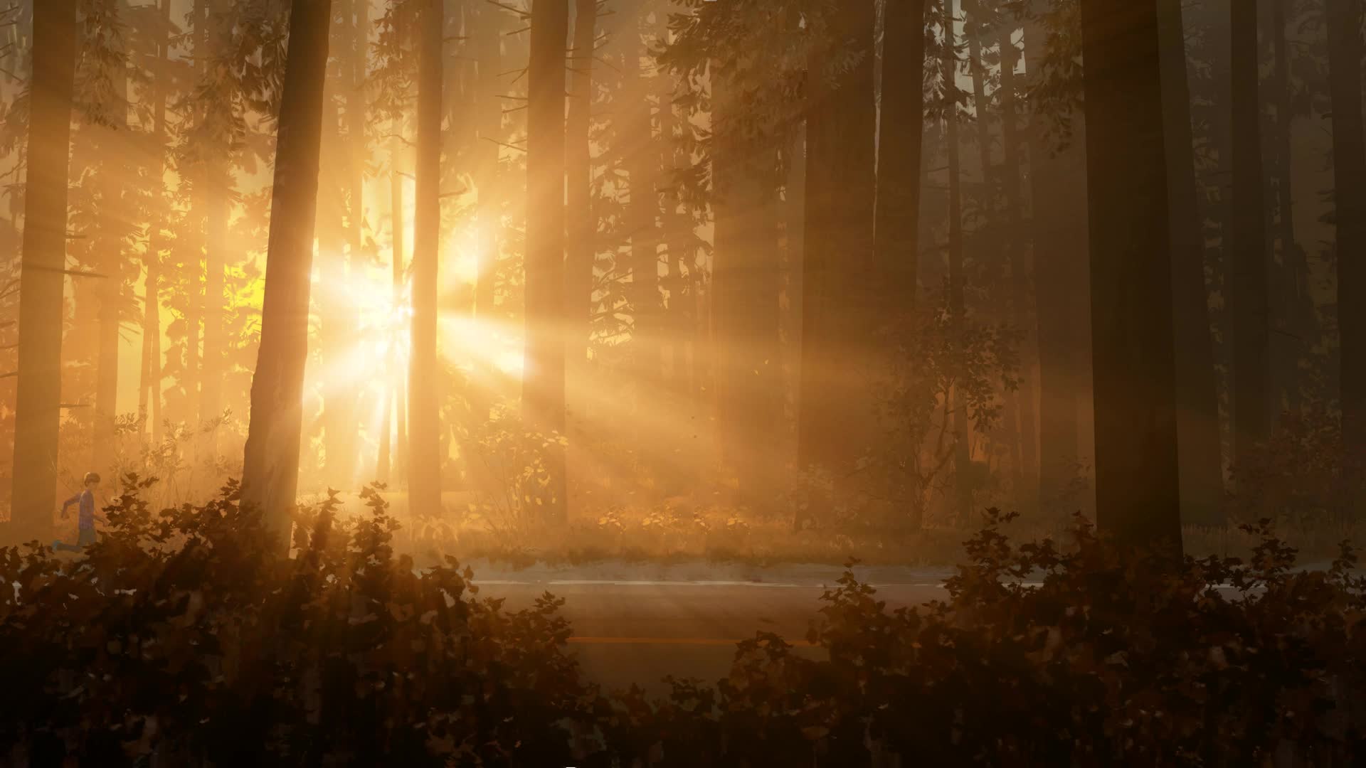 Sunshine forest Live Wallpaper