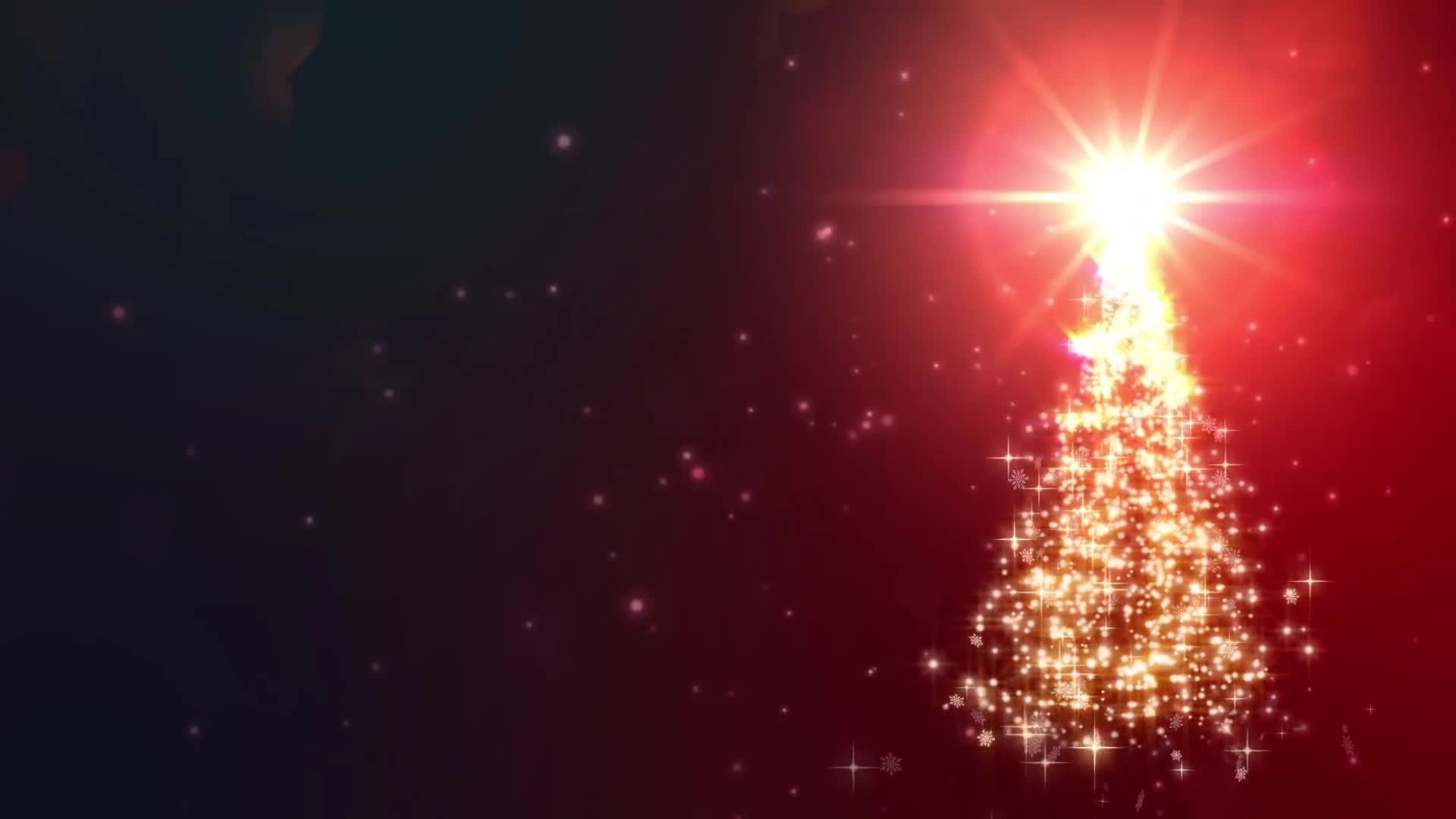 Christmas Tree Live Wallpaper