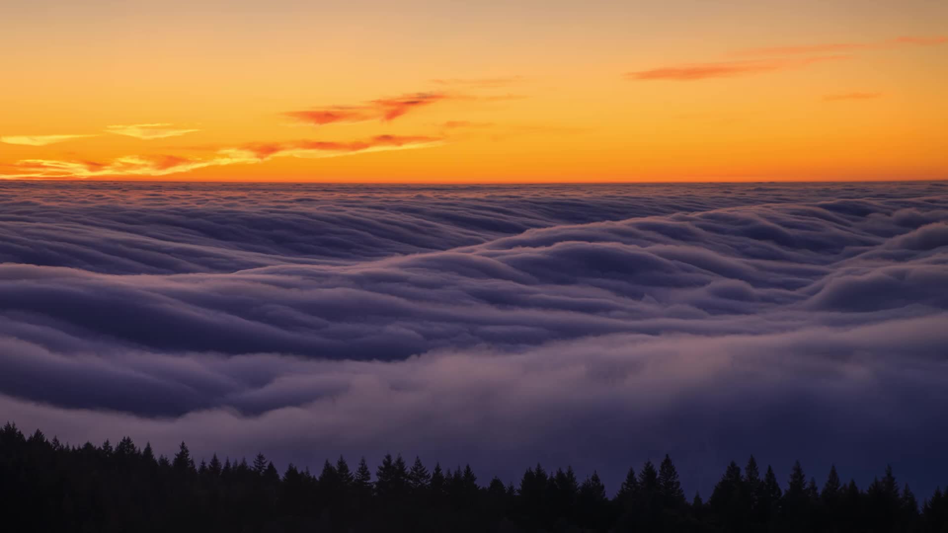 Sea of clouds Live Wallpaper