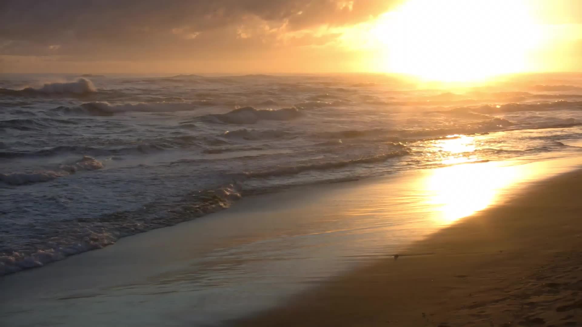 Sundown Beach Live Wallpaper