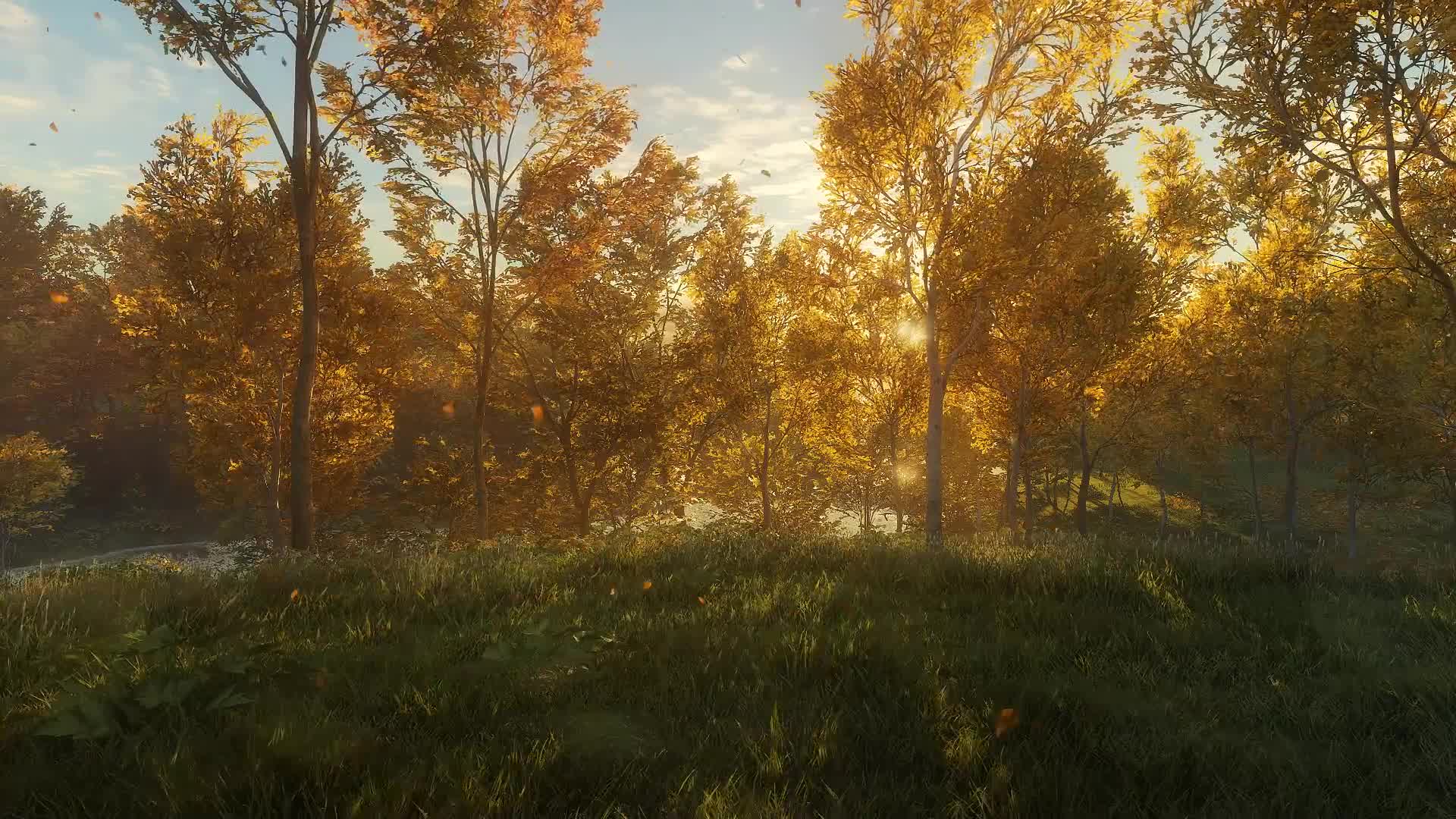 Gold forest Live Wallpaper
