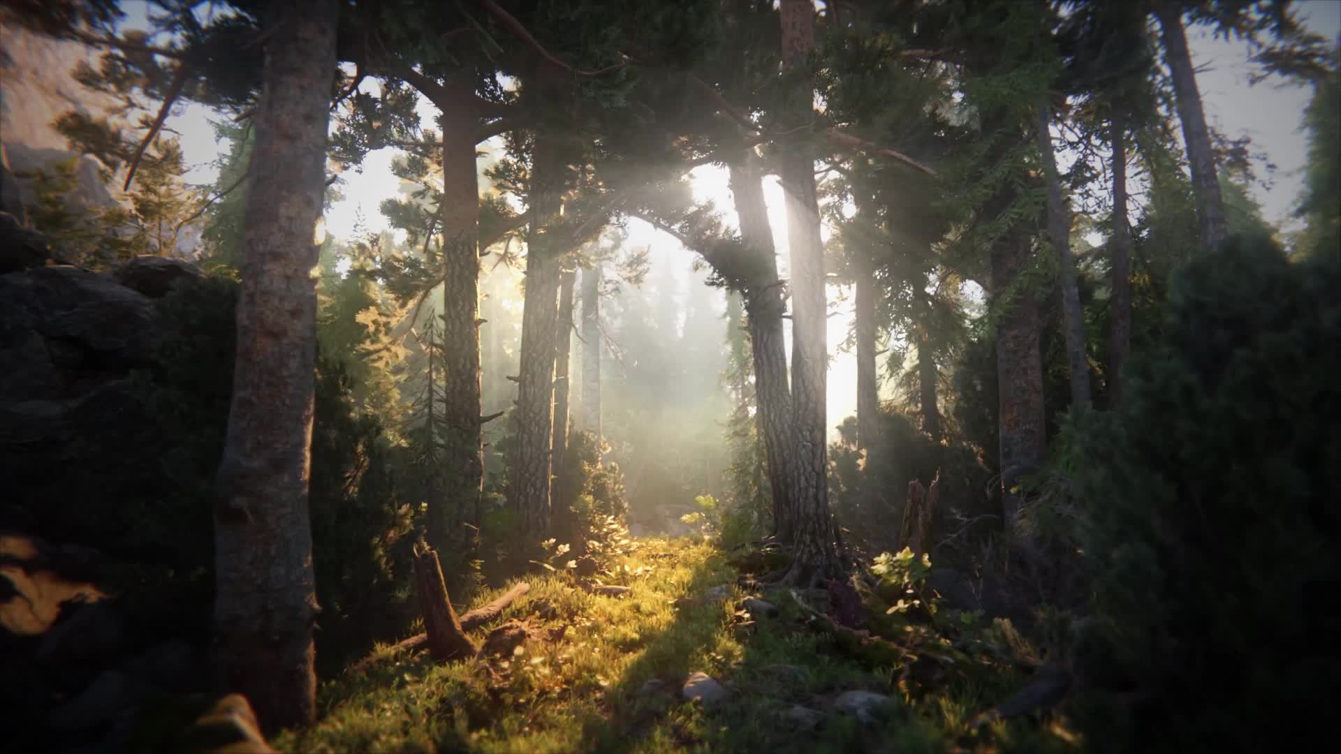 Passage To Safety Live Wallpaper