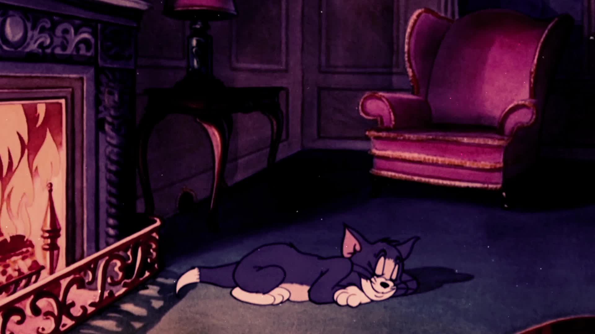 Tom sleeping next to the fireplace Live Wallpaper