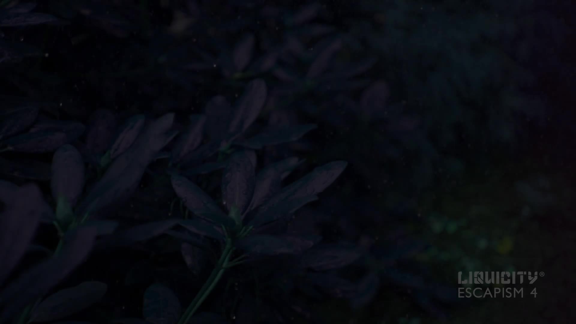 Rain with Dualistic music-Station Six Live Wallpaper