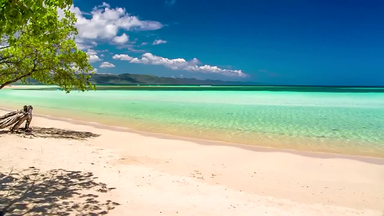 Sandy beach Live Wallpaper