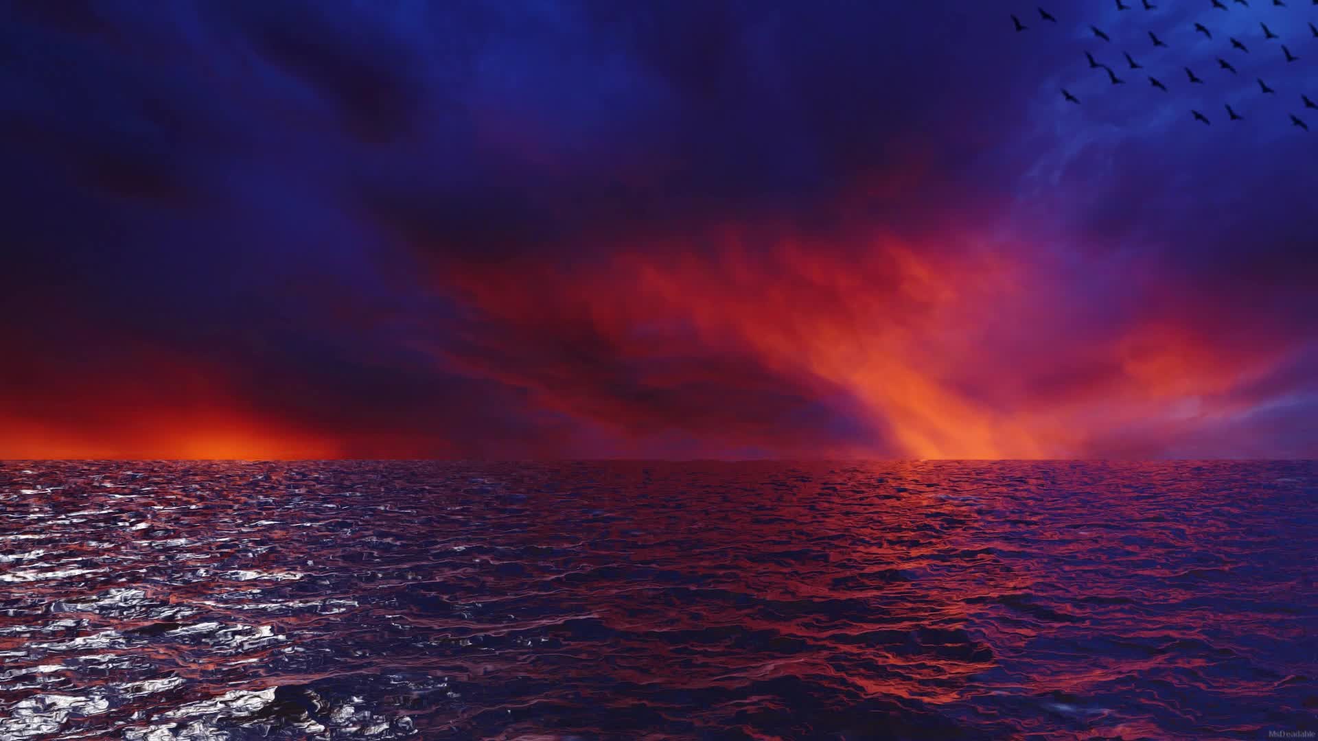 The ocean at sunset Live Wallpaper