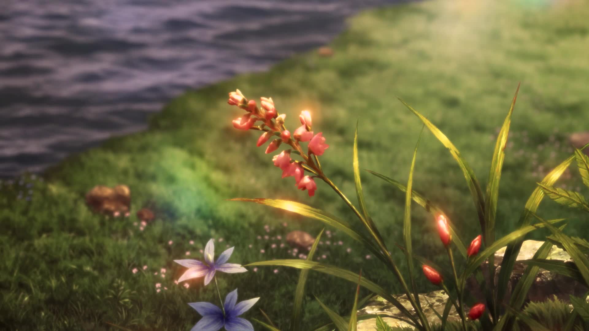 Flower by the lake Live Wallpaper