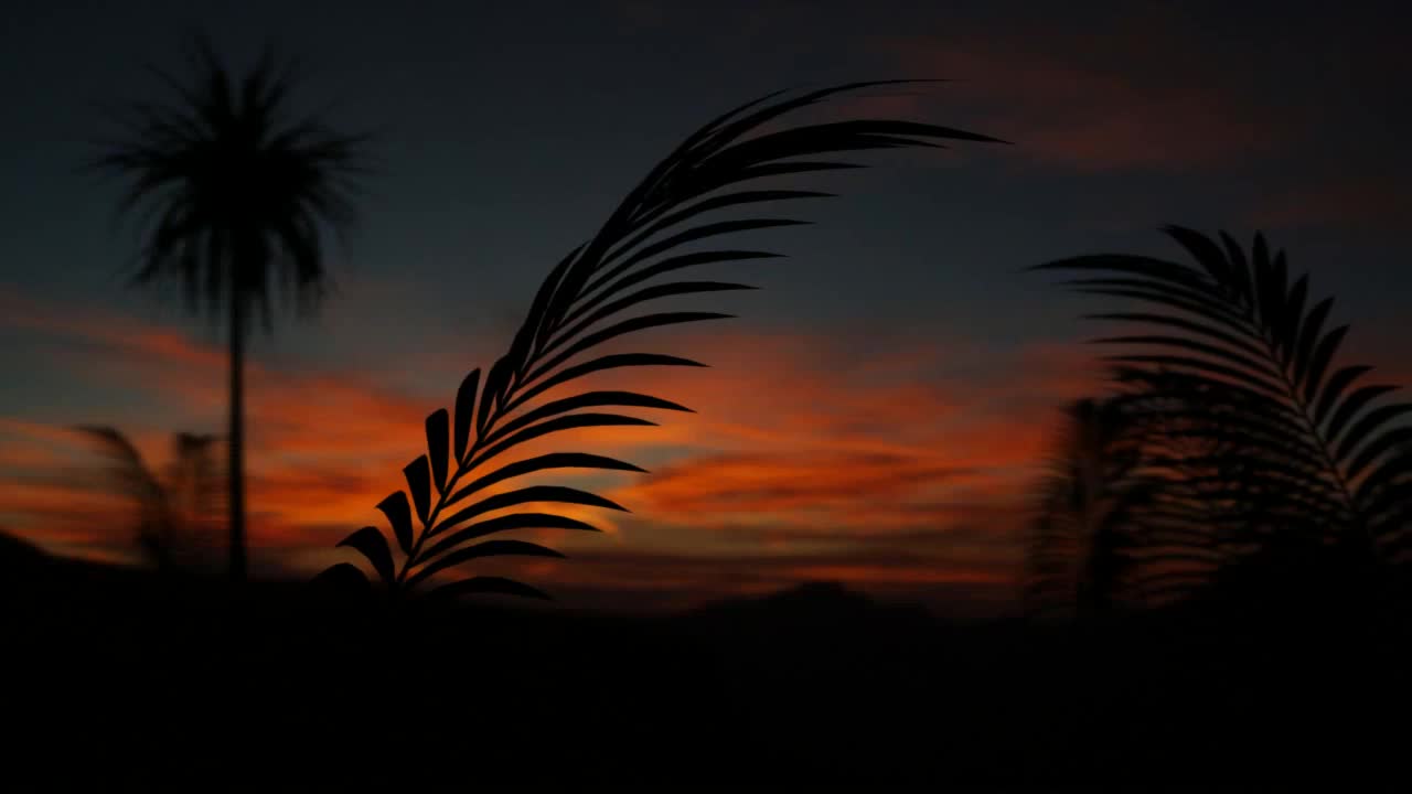 Palma Live Wallpaper