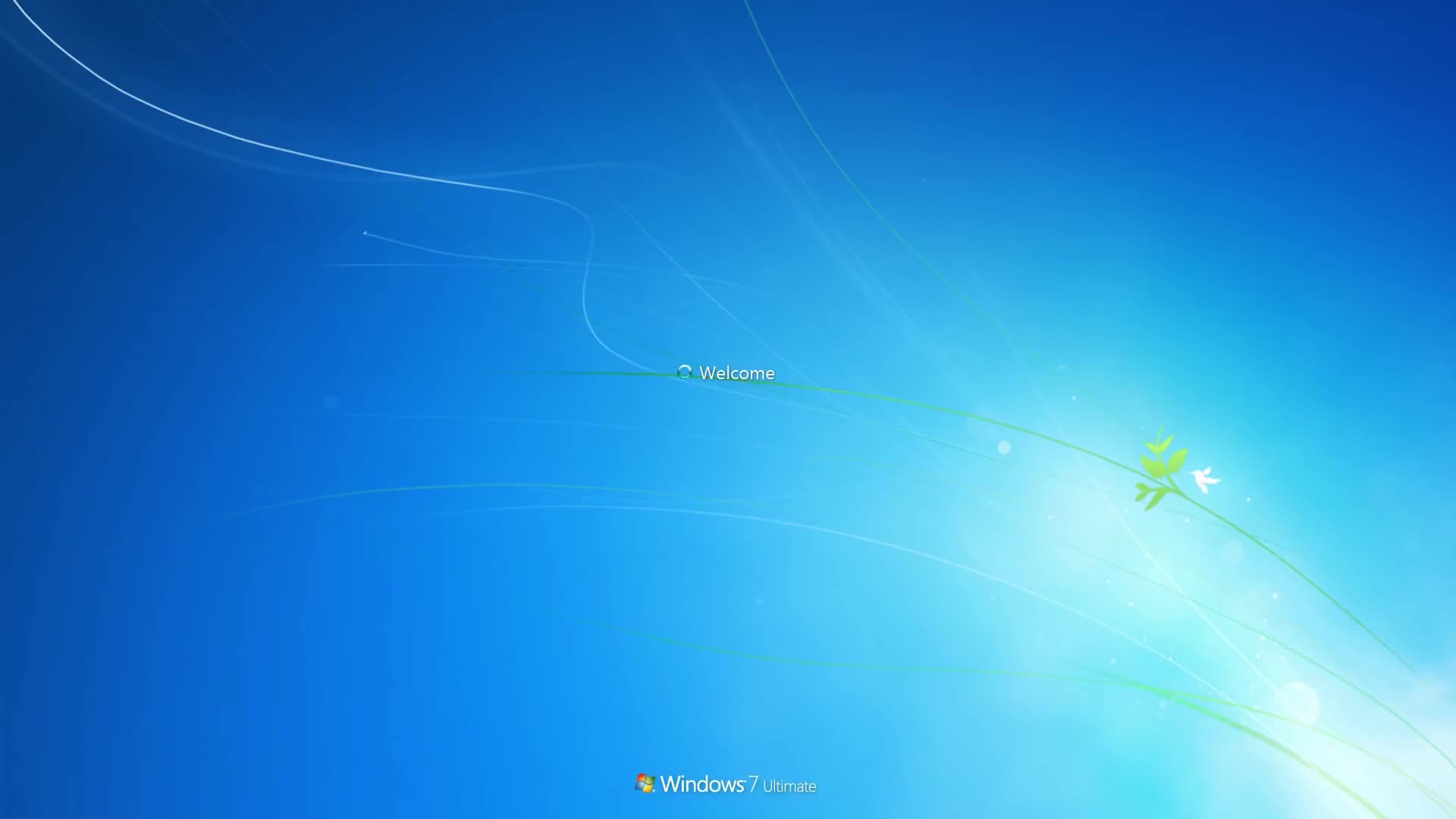 Virus on your computer Live Wallpaper