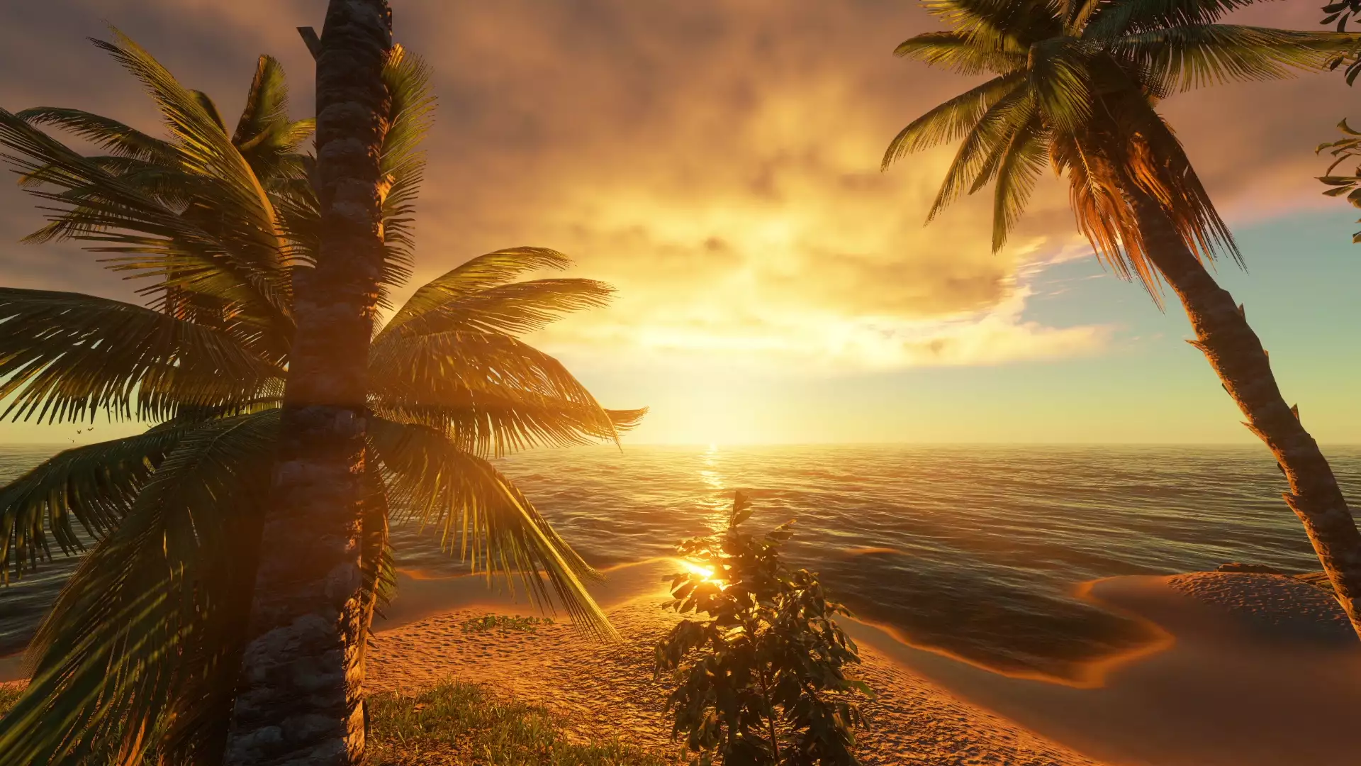 sunset, island, landscapes - nature, night, sea, day, beach, palm tree Live Wallpaper