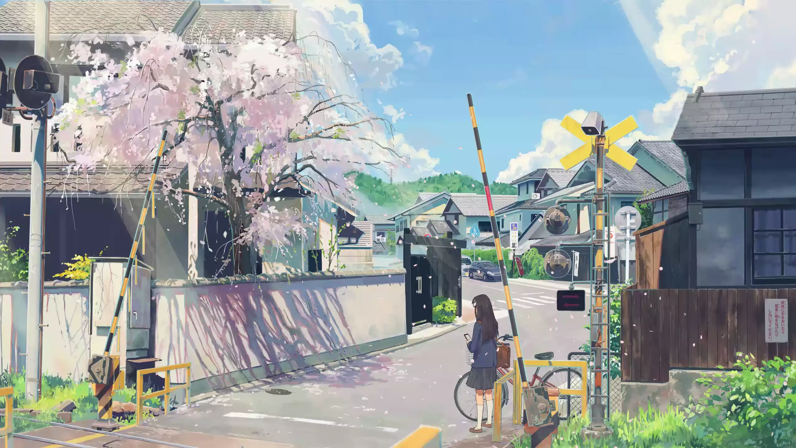 school bag, school uniform, arts, sakura, street, petals, anime girls, anime, cities, bicycle Live Wallpaper