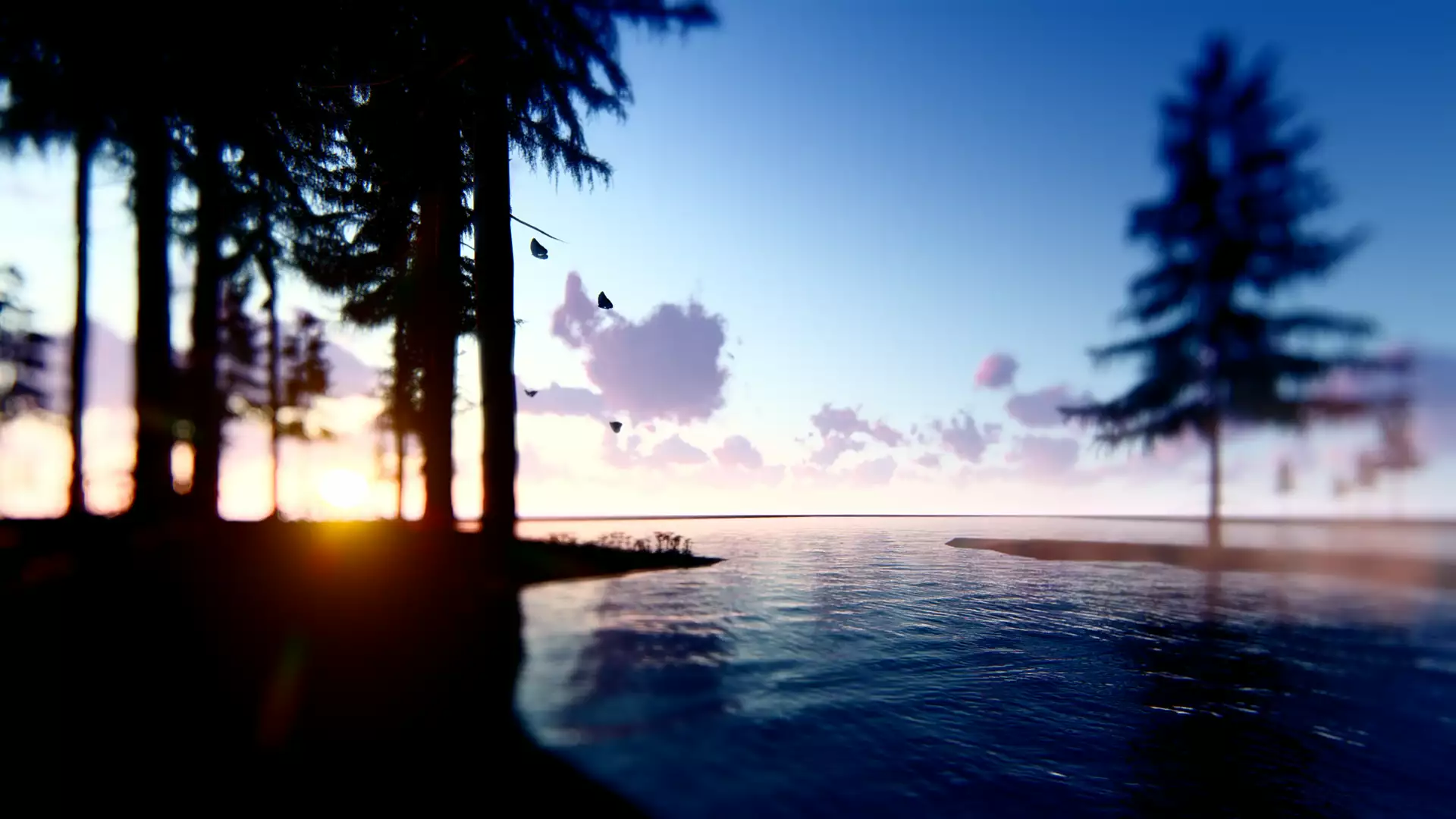 butterflies, coast, sky, sea, sunset, tree, the clouds, landscapes - nature Live Wallpaper