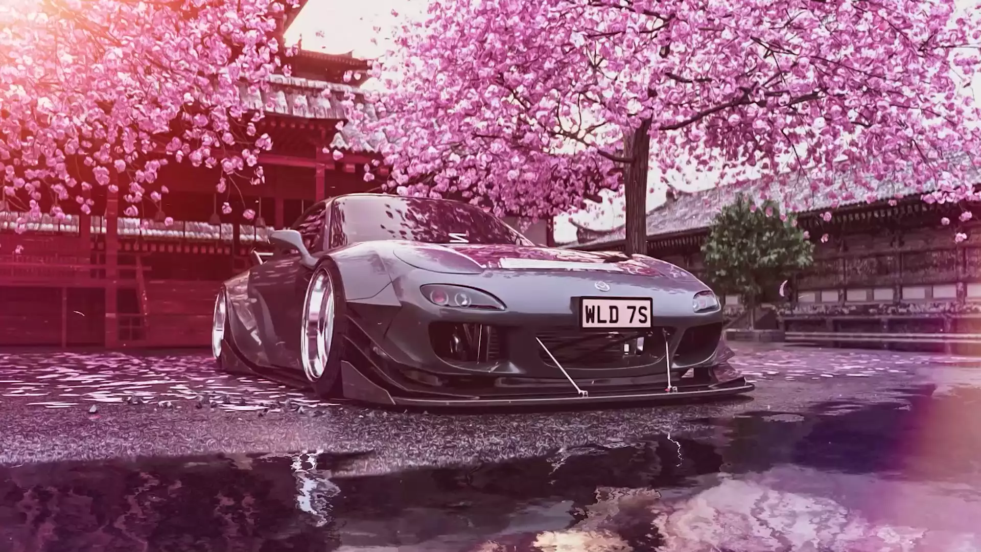 auto - moto, mazda, sakura, petals Live Wallpaper