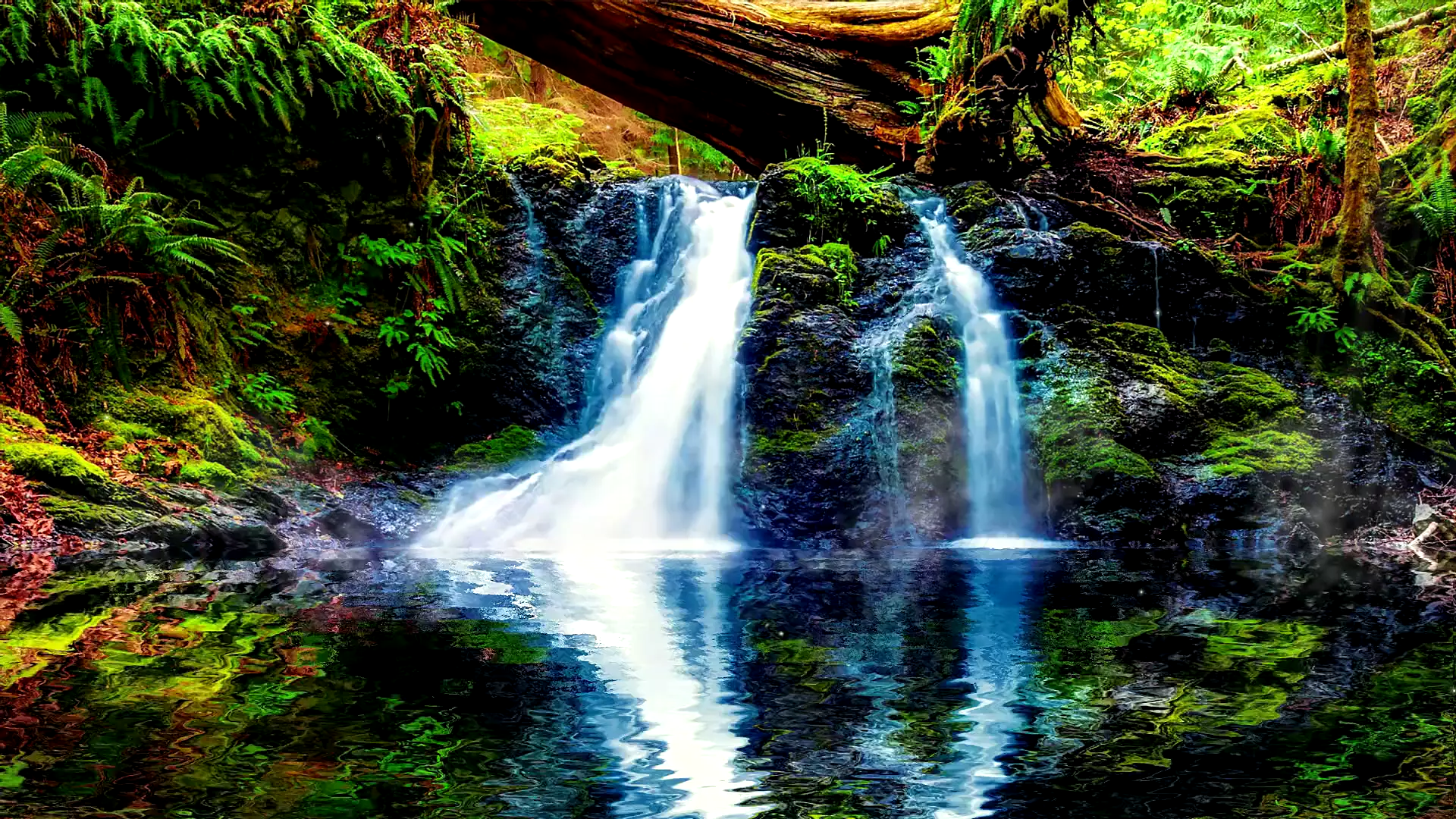 river, landscapes - nature, waterfall, forest Live Wallpaper