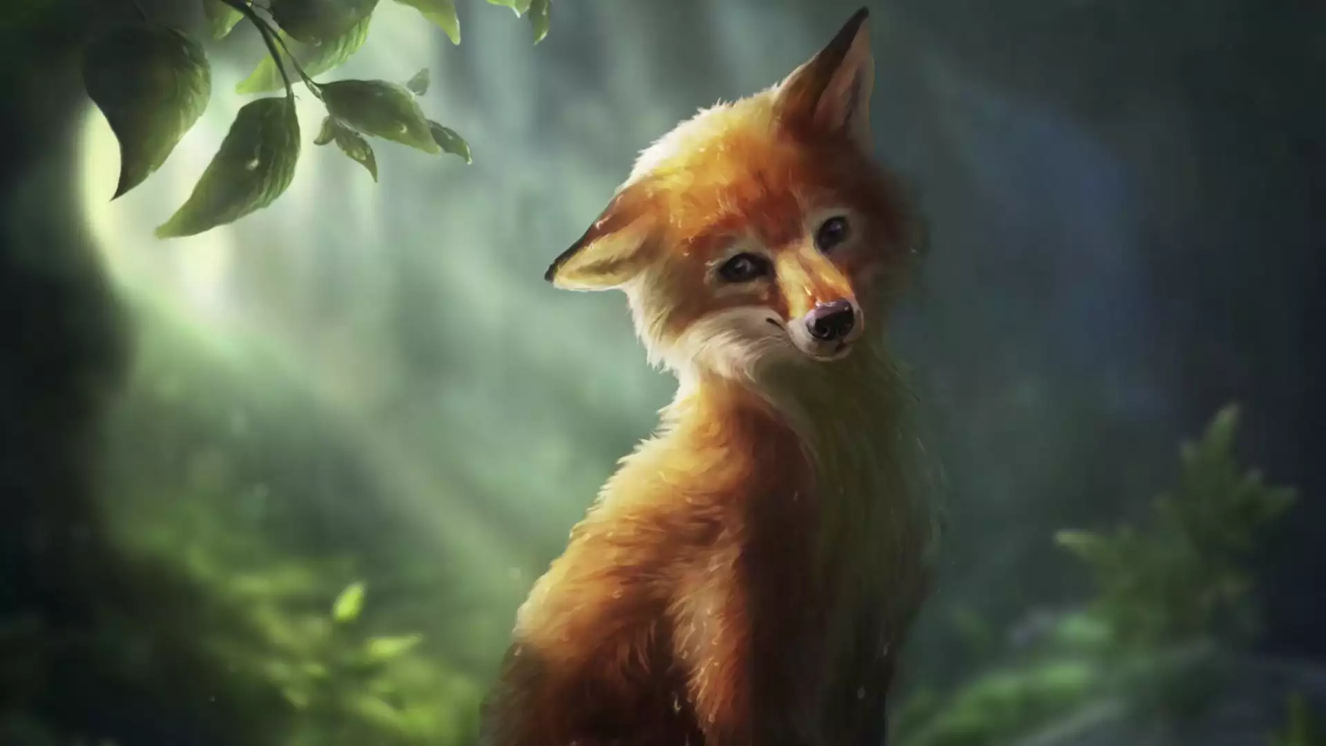 animals, cute fox, fox, arts Live Wallpaper