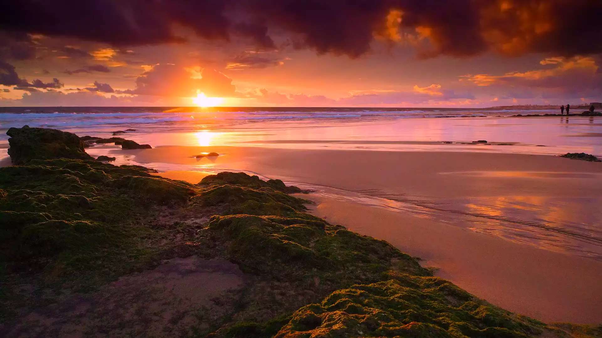 sunset, sand, beach, landscapes - nature, sea, kerala Live Wallpaper