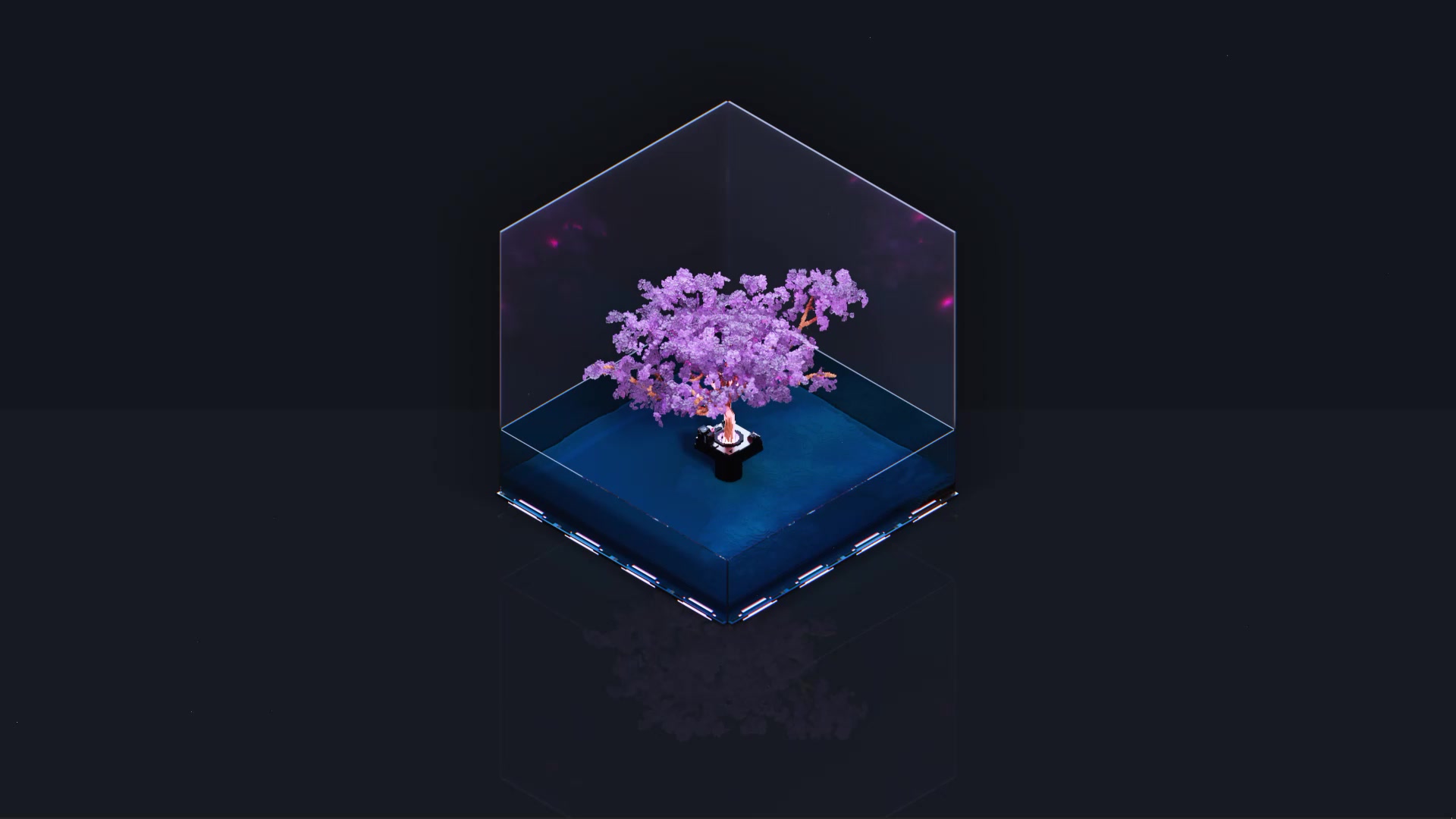 Sakura Live Wallpaper