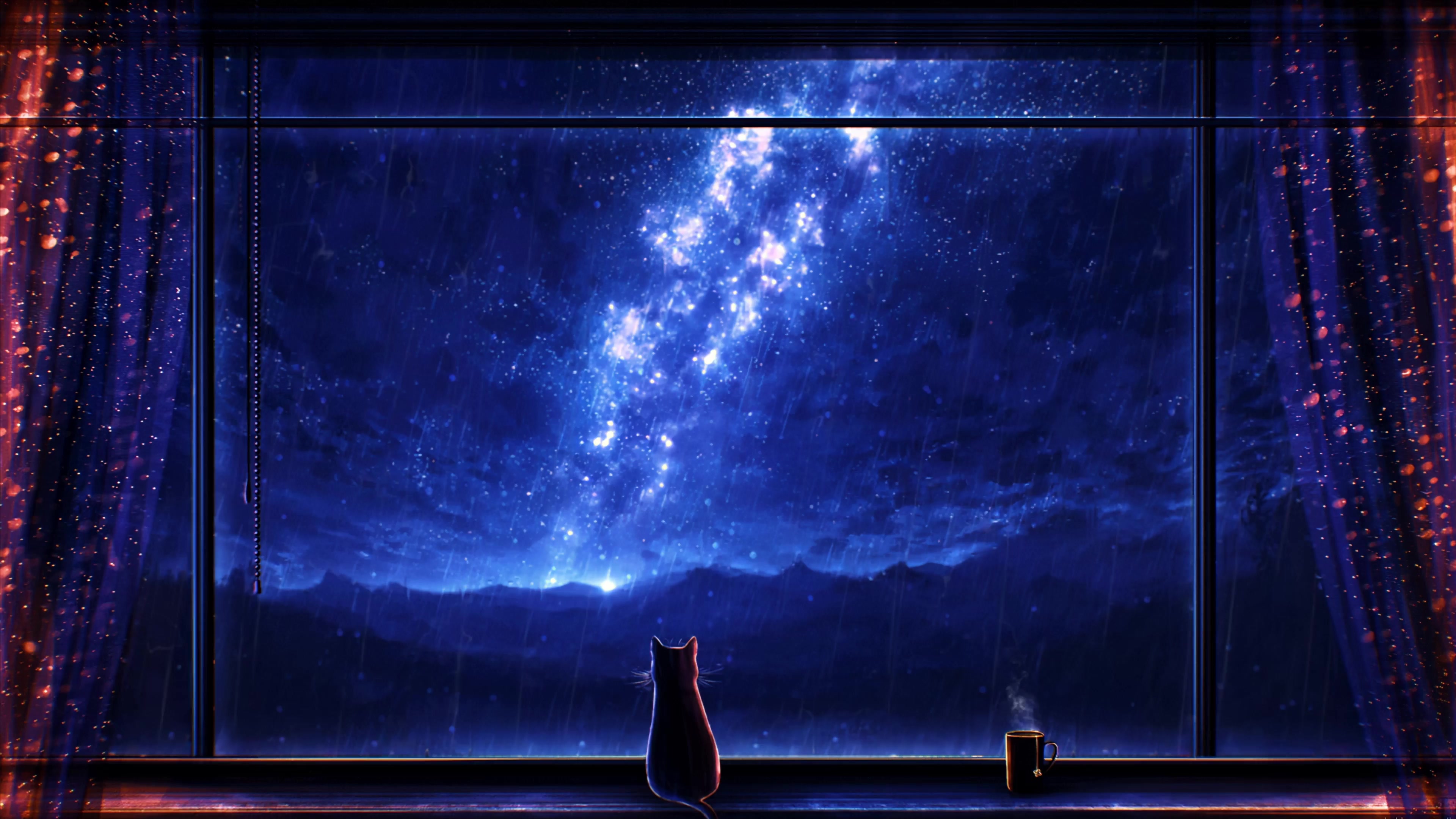 Lonely Cat 4k Live Wallpaper