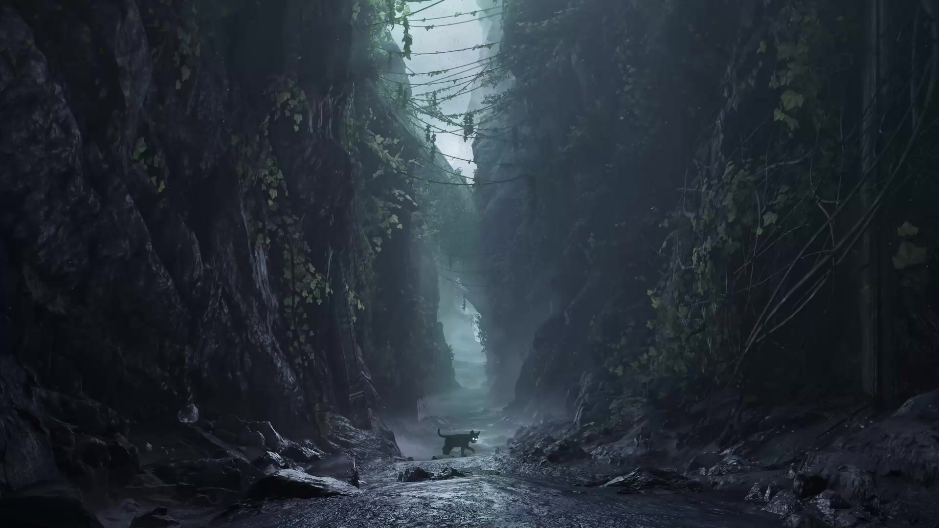 The Black Cat Adventure Live Wallpaper