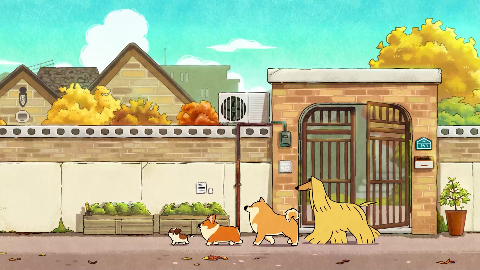 Doggie Corgi Walk Live Wallpaper
