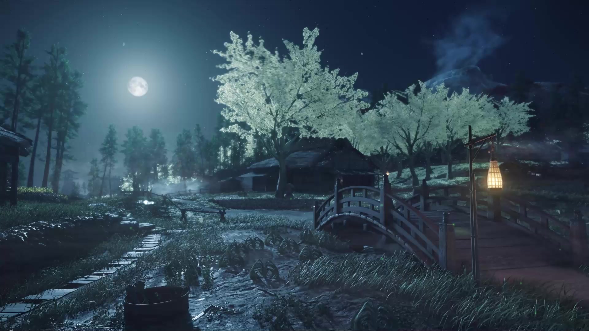 Omi Village, night, moon Live Wallpaper