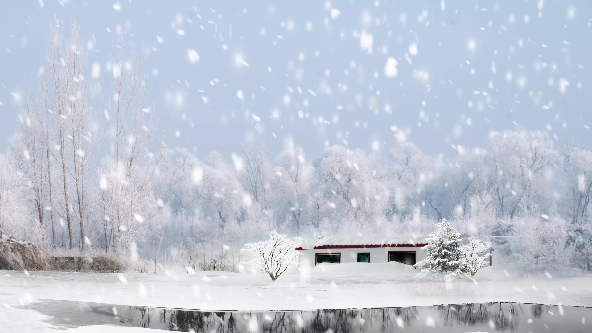 Snow Fall, Winter Live Wallpaper