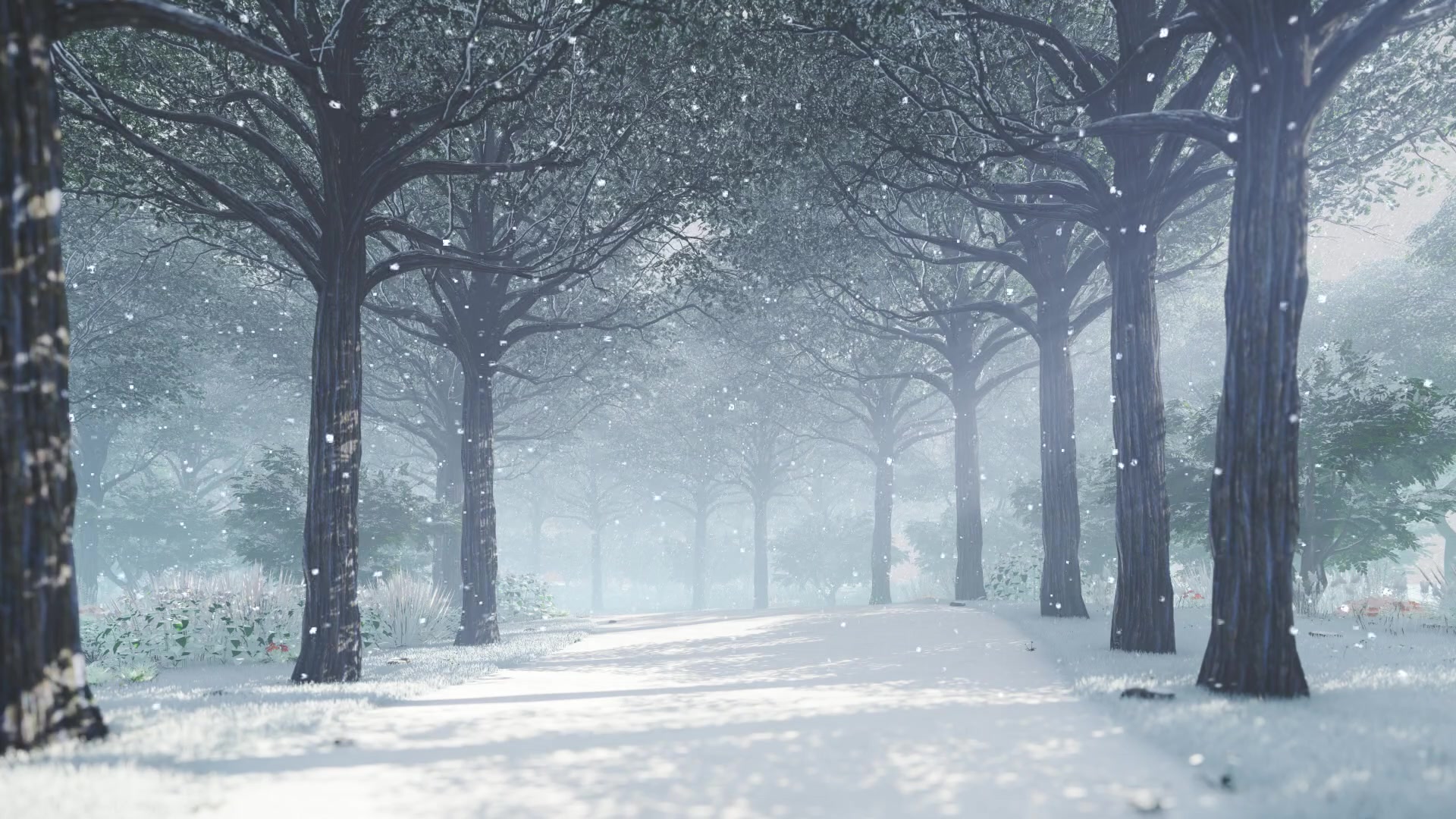 Winter Forest Live Wallpaper