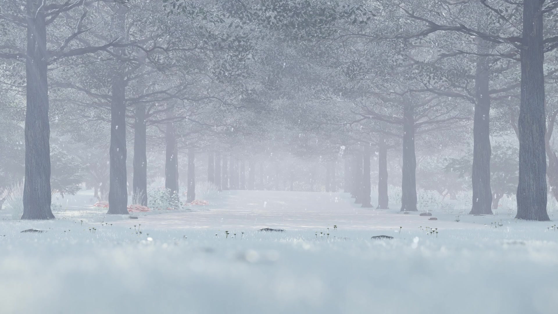 Background Winter Forest Live Wallpaper