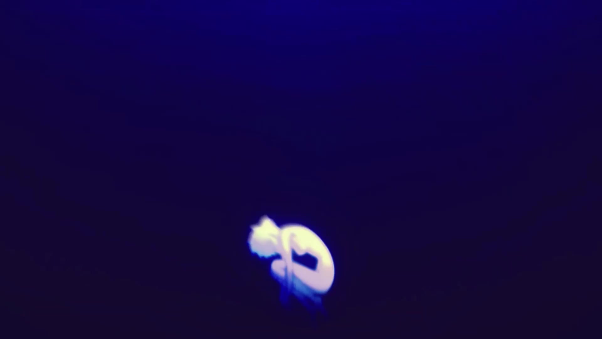 Evangelion Rei Ayanami Live Wallpaper